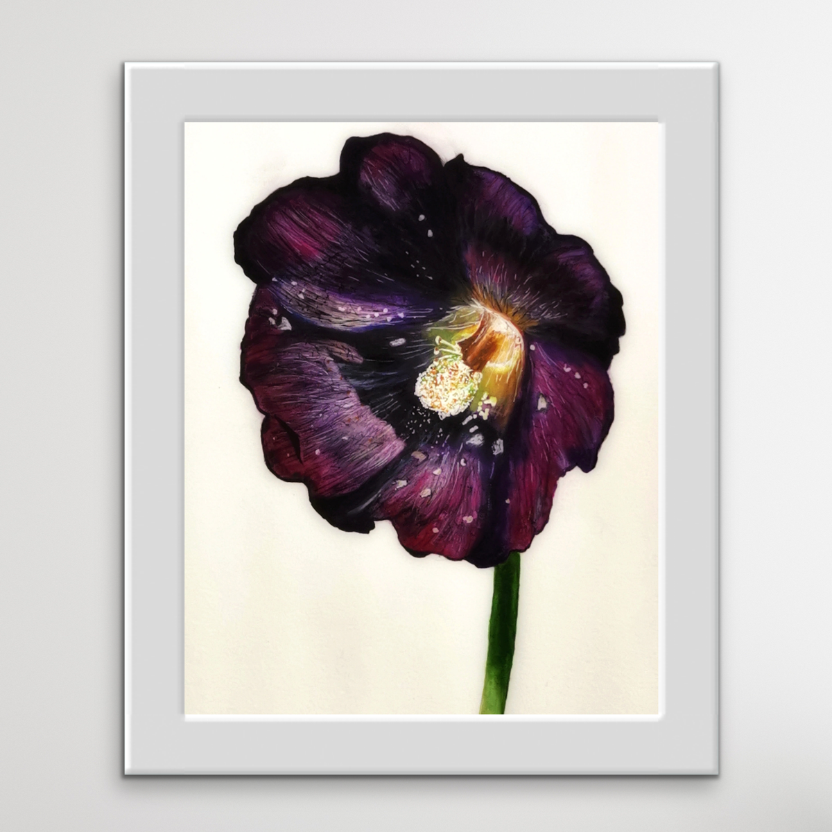 Black Hollyhock