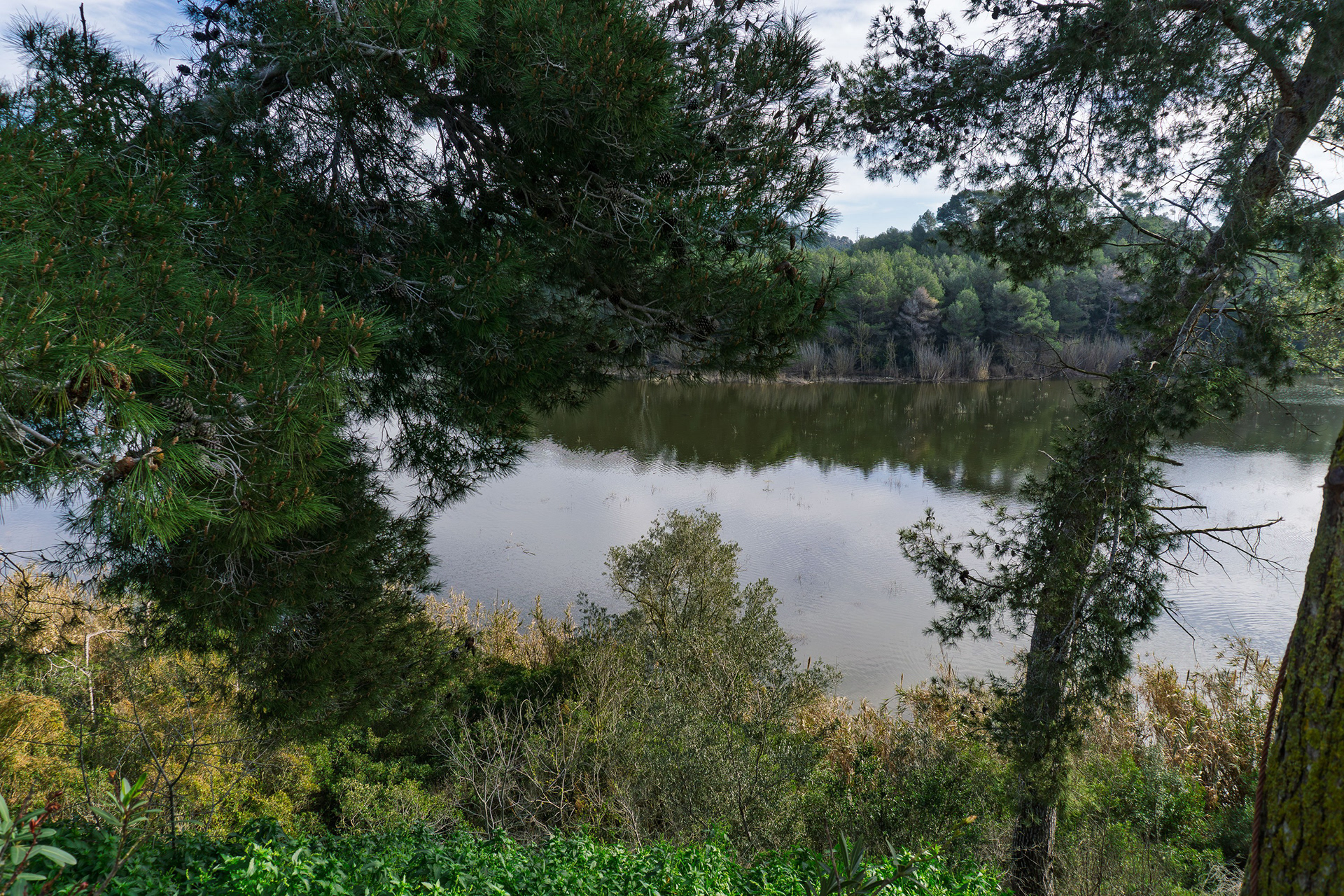 Foix Reservoir is shielded by lush vegetation.