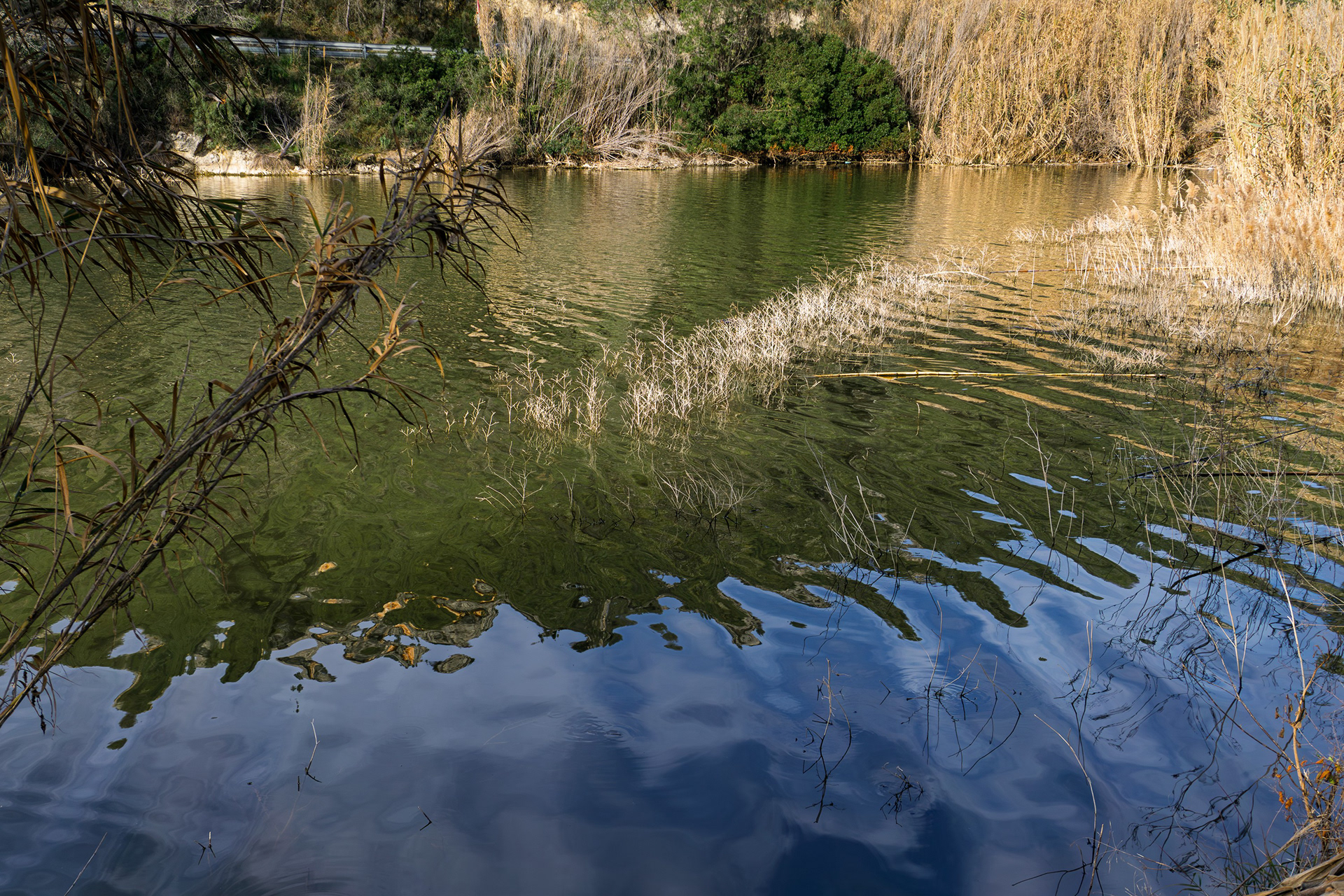 The Foix Reservoir shelters a remarkable diversity of wildlife and vegetation.