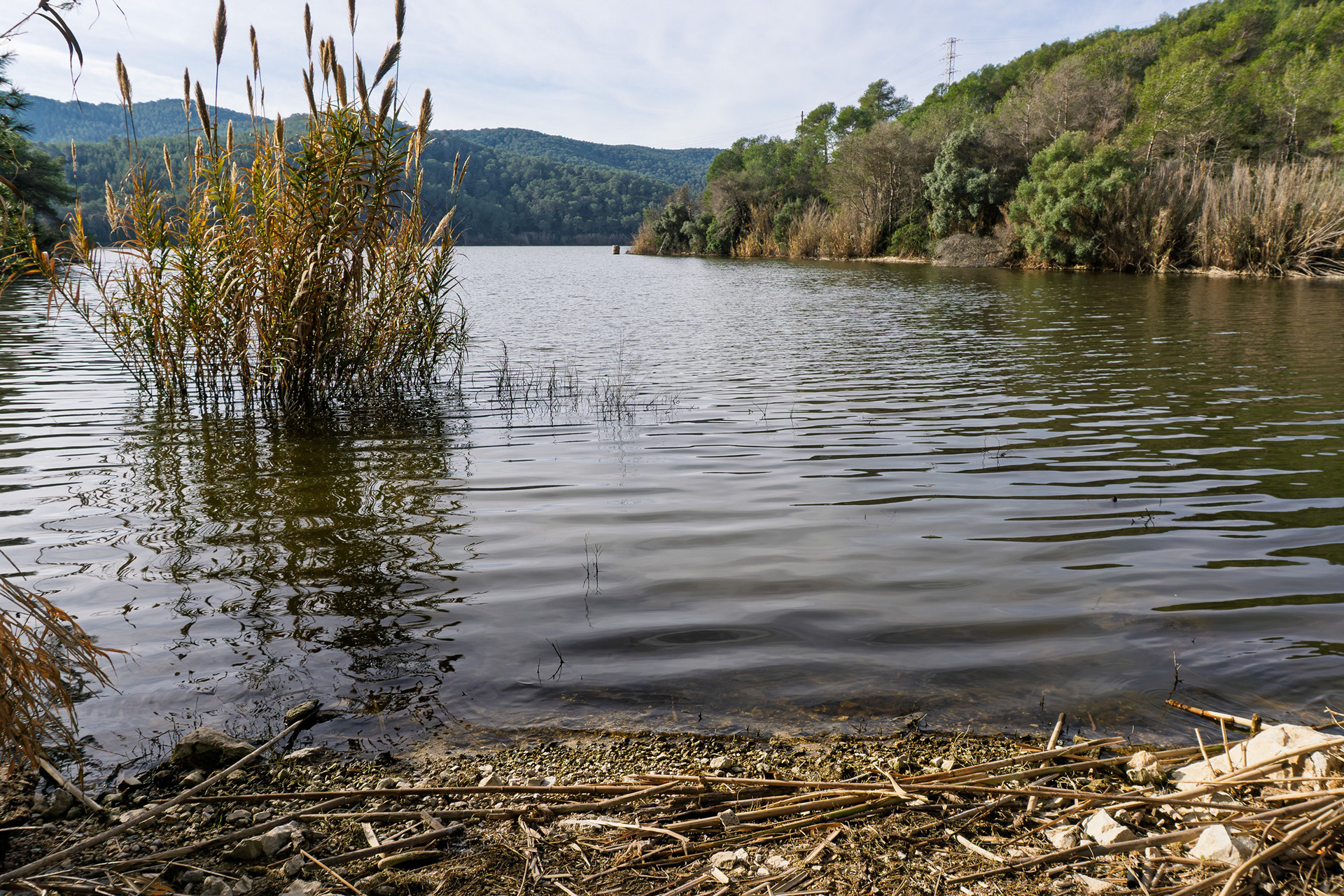Not your average reservoir—it’s a biodiversity Airbnb.
