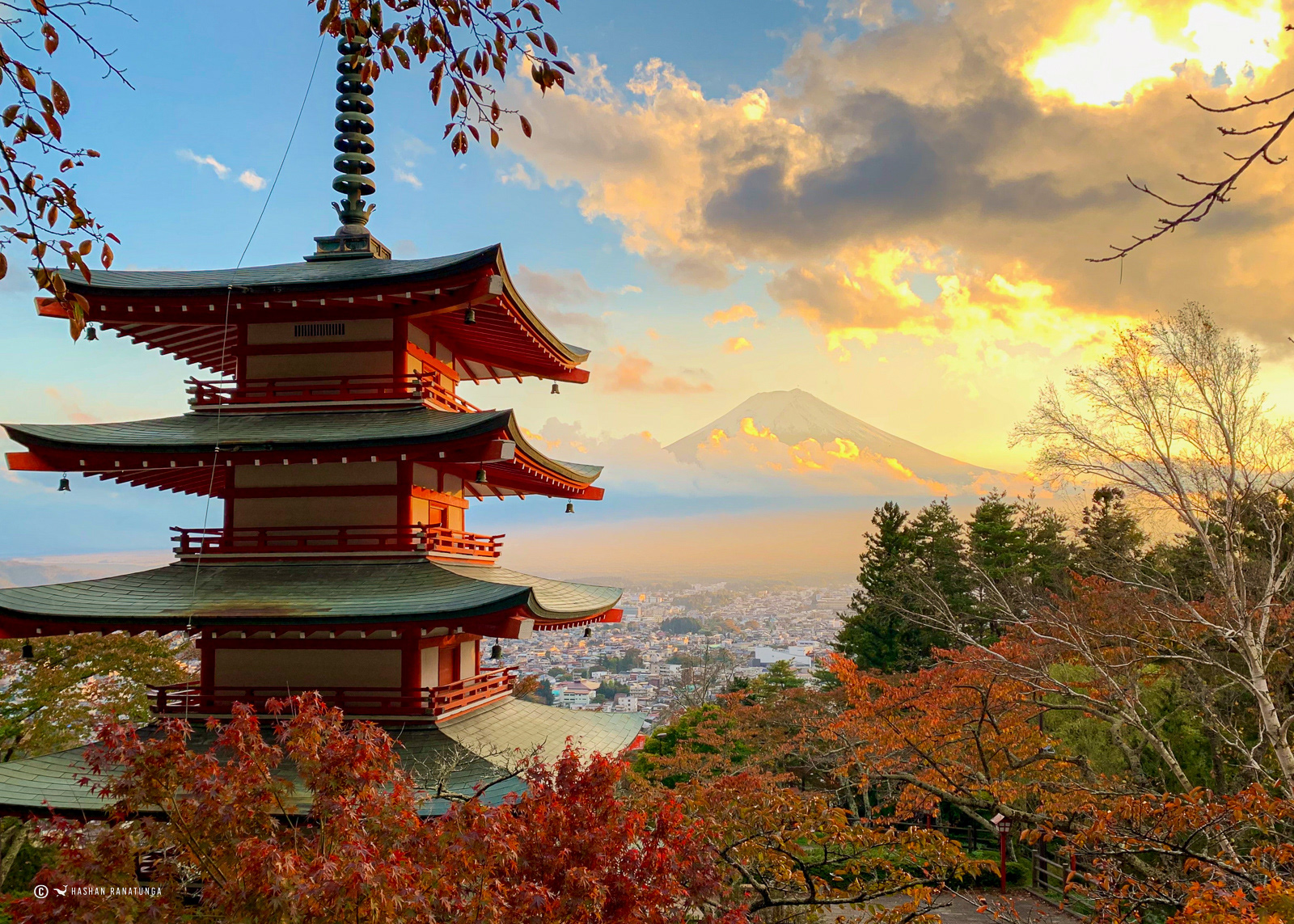 Special Sale - Quote FJ001 on contact from to purchase