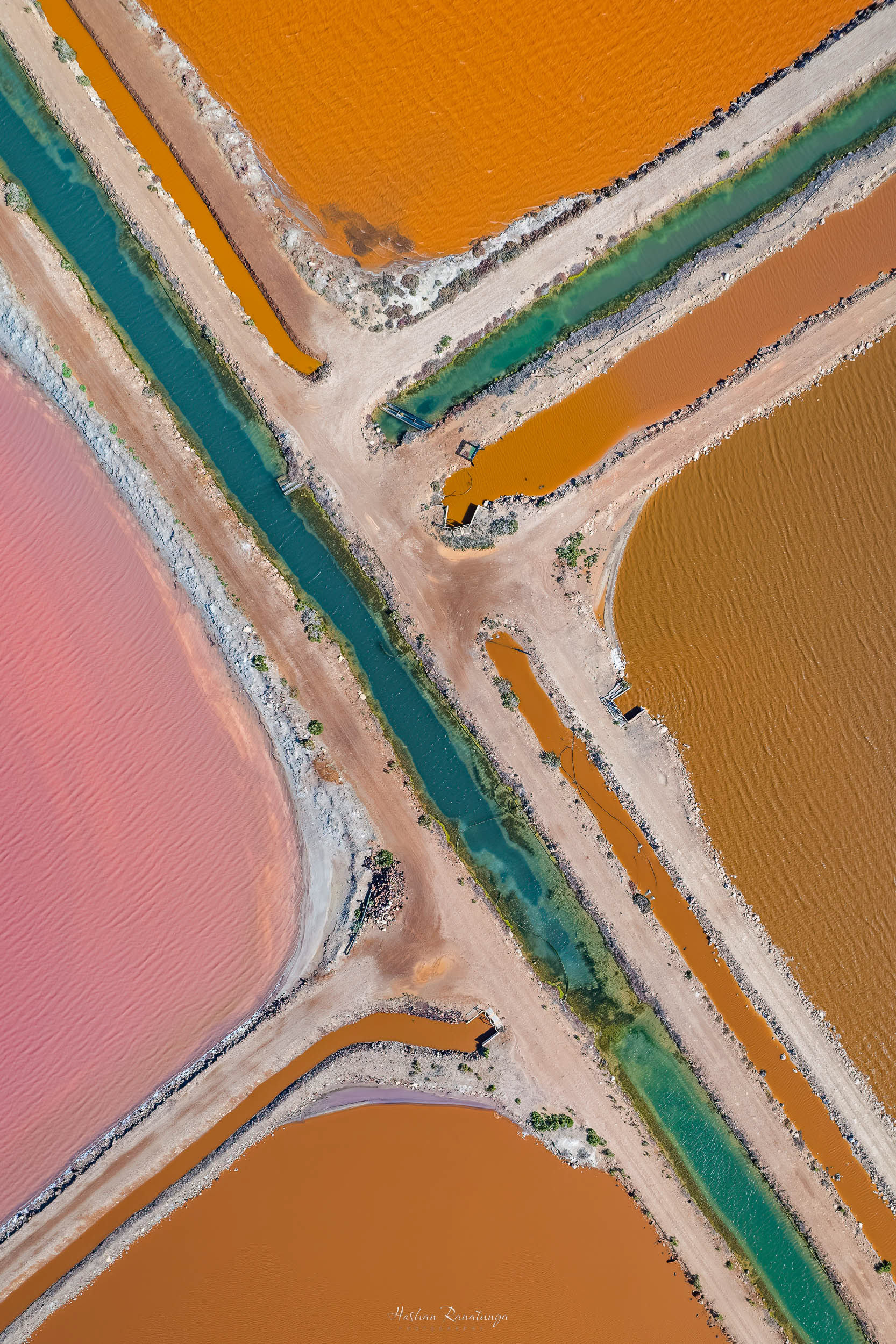 Colour Palette
