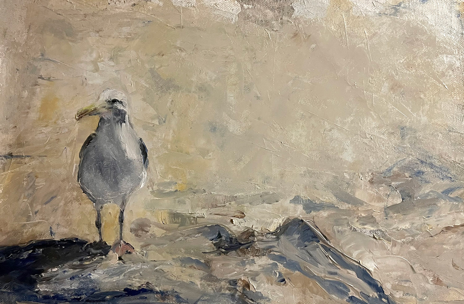 Seagull, 2022