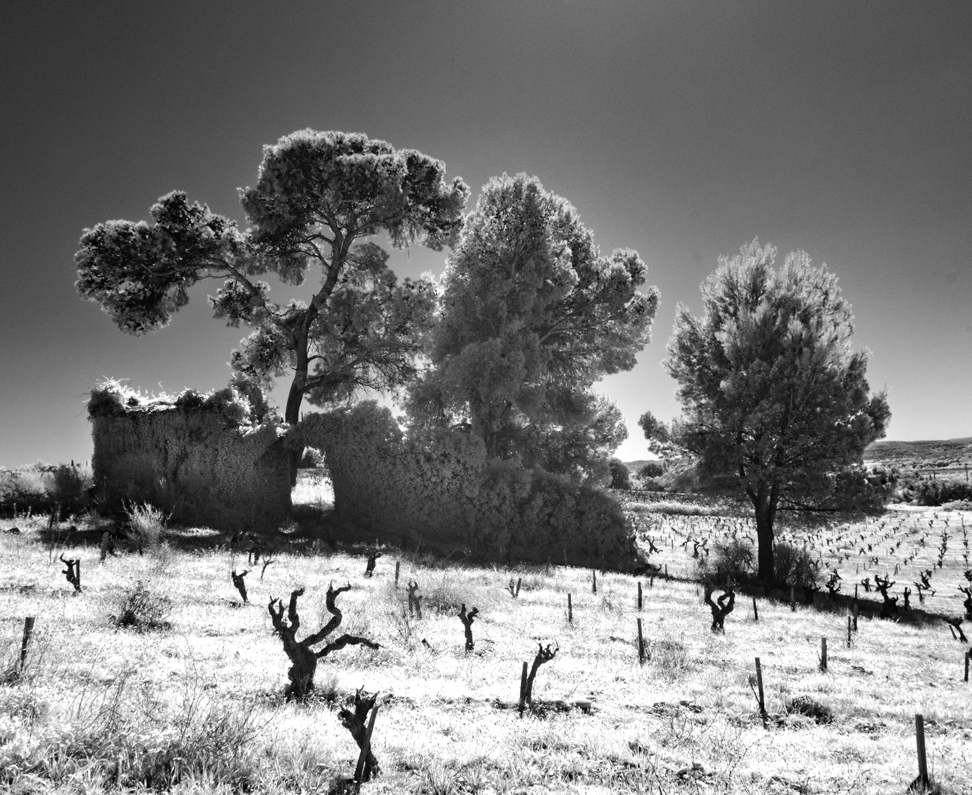 Chateauneuf du Pape, France