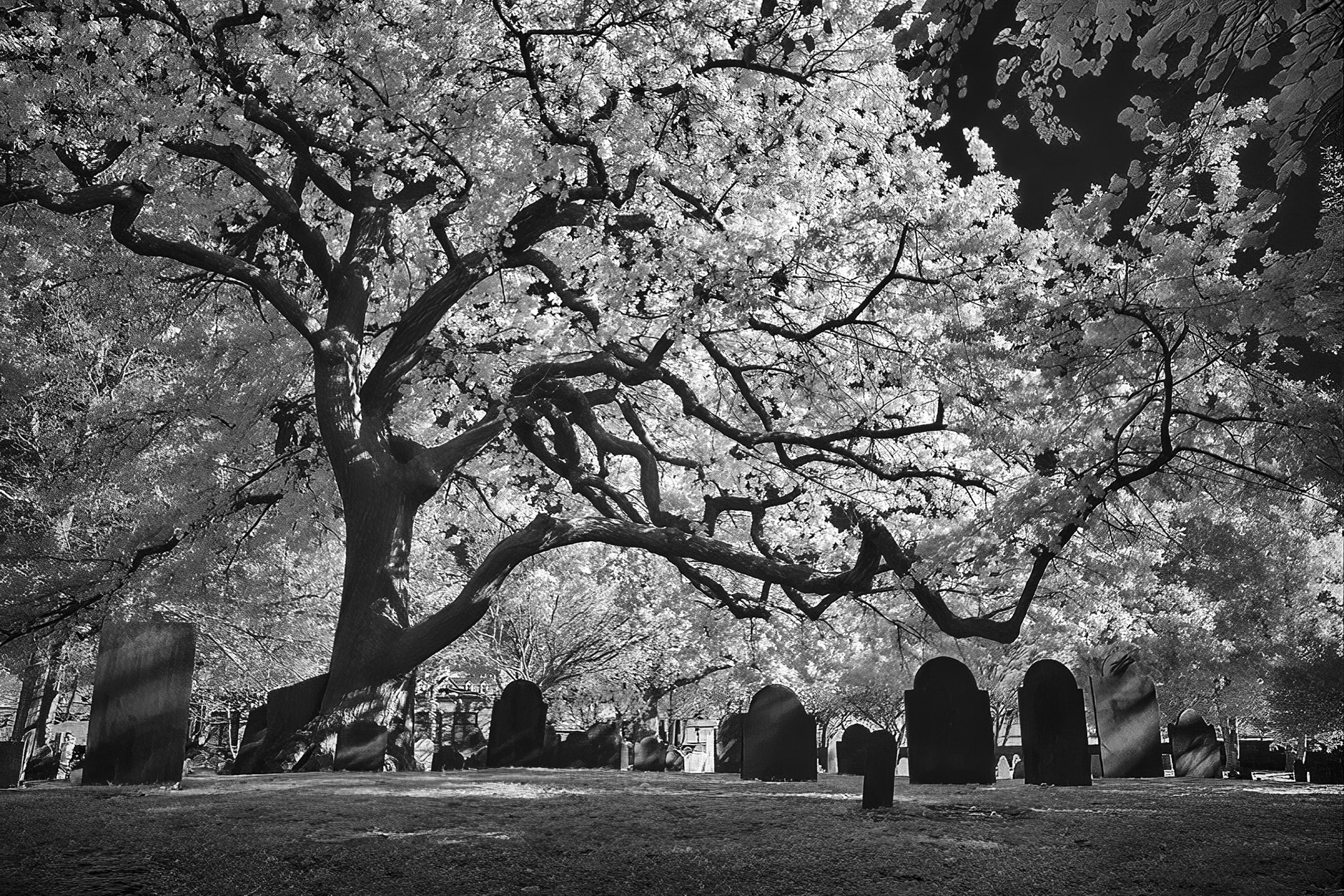 Old Burying Point, Salem MA