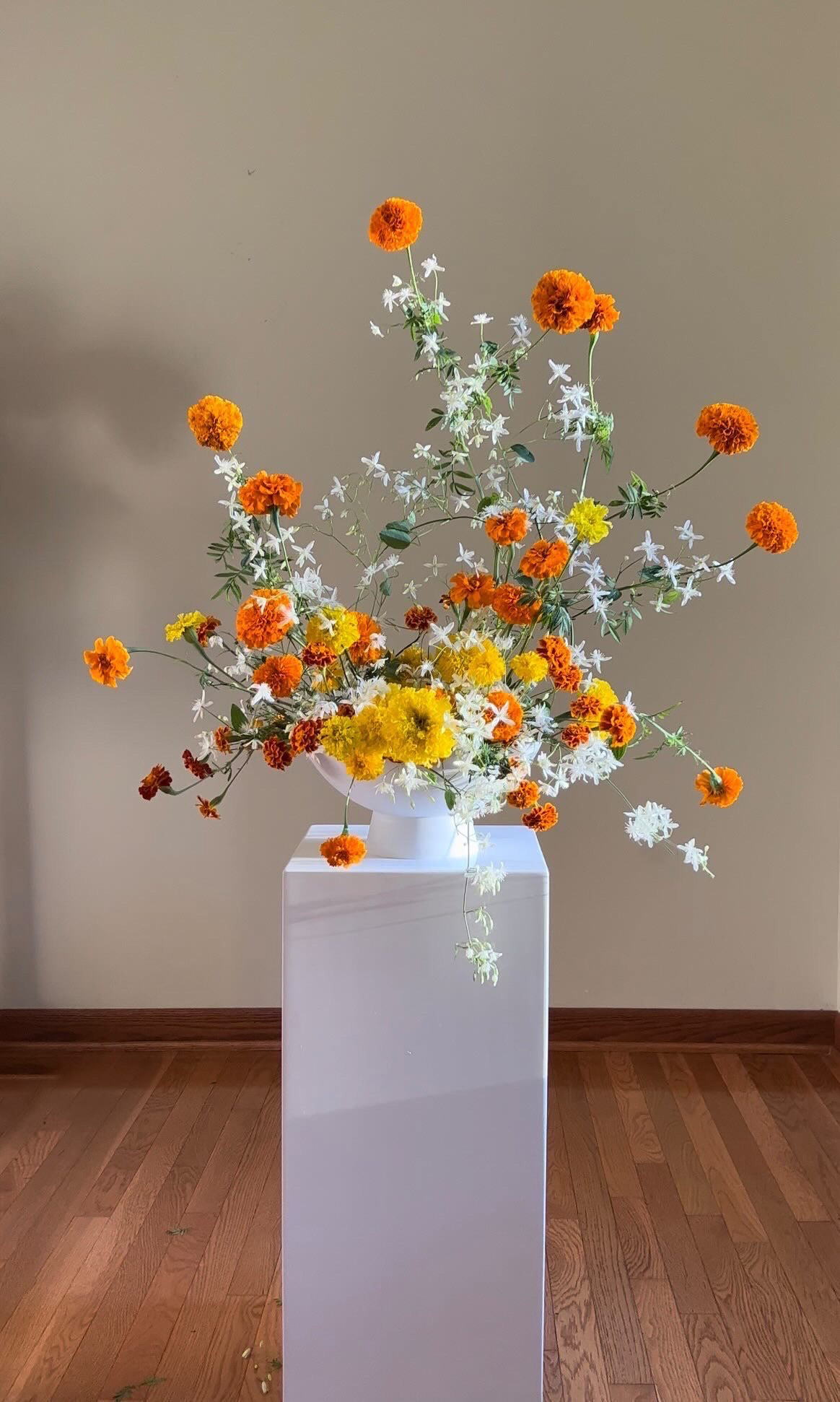 The inspiration- Sue MCleary