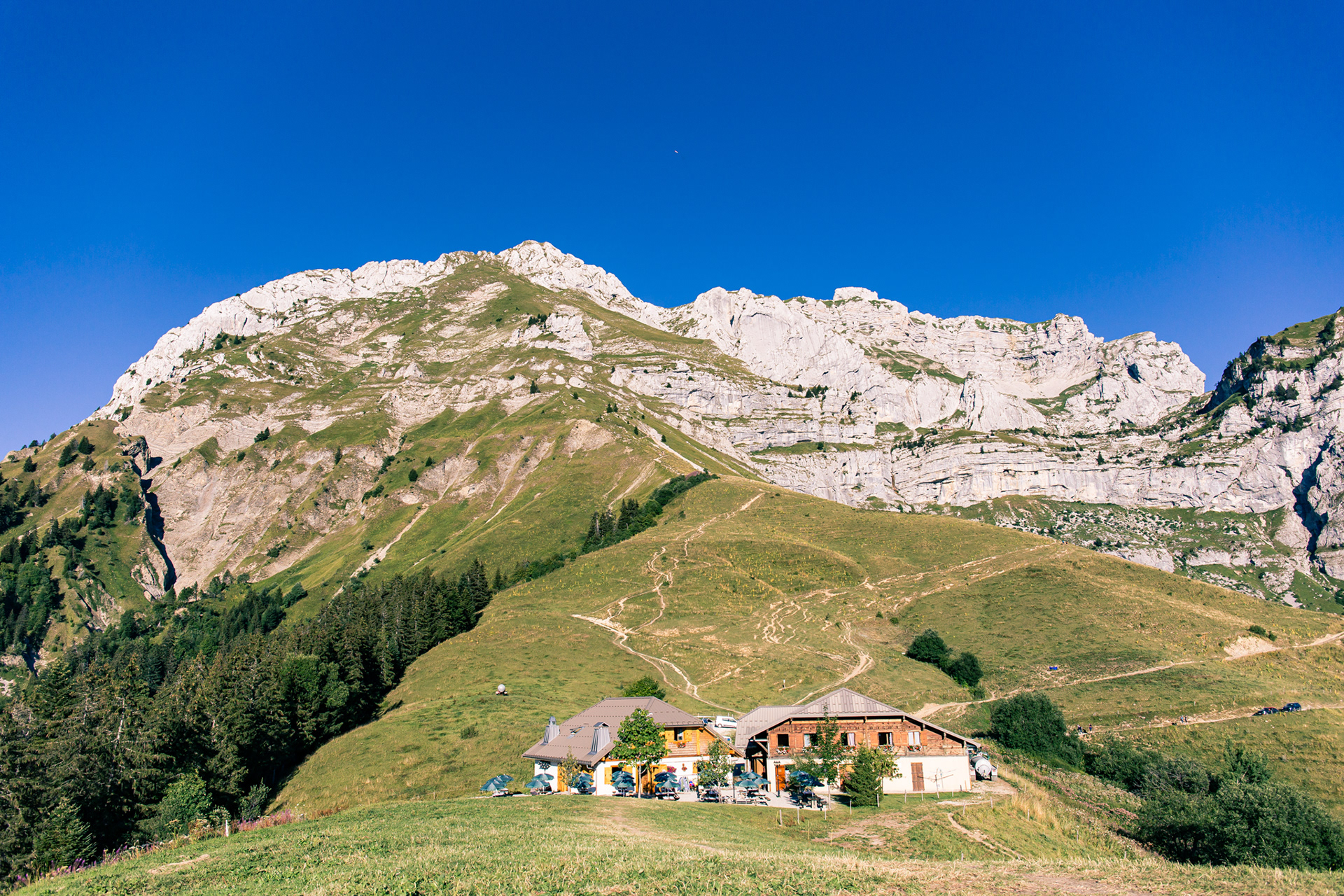 Very nice mountain hut up here, with a big cow barn next to it.