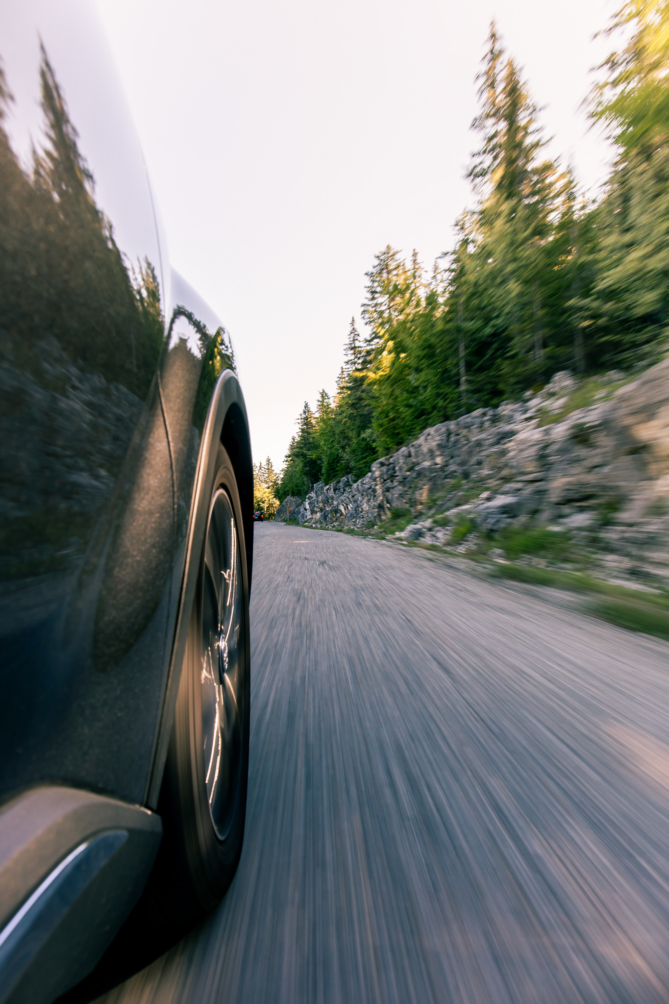 Cruisin' along the rocks.