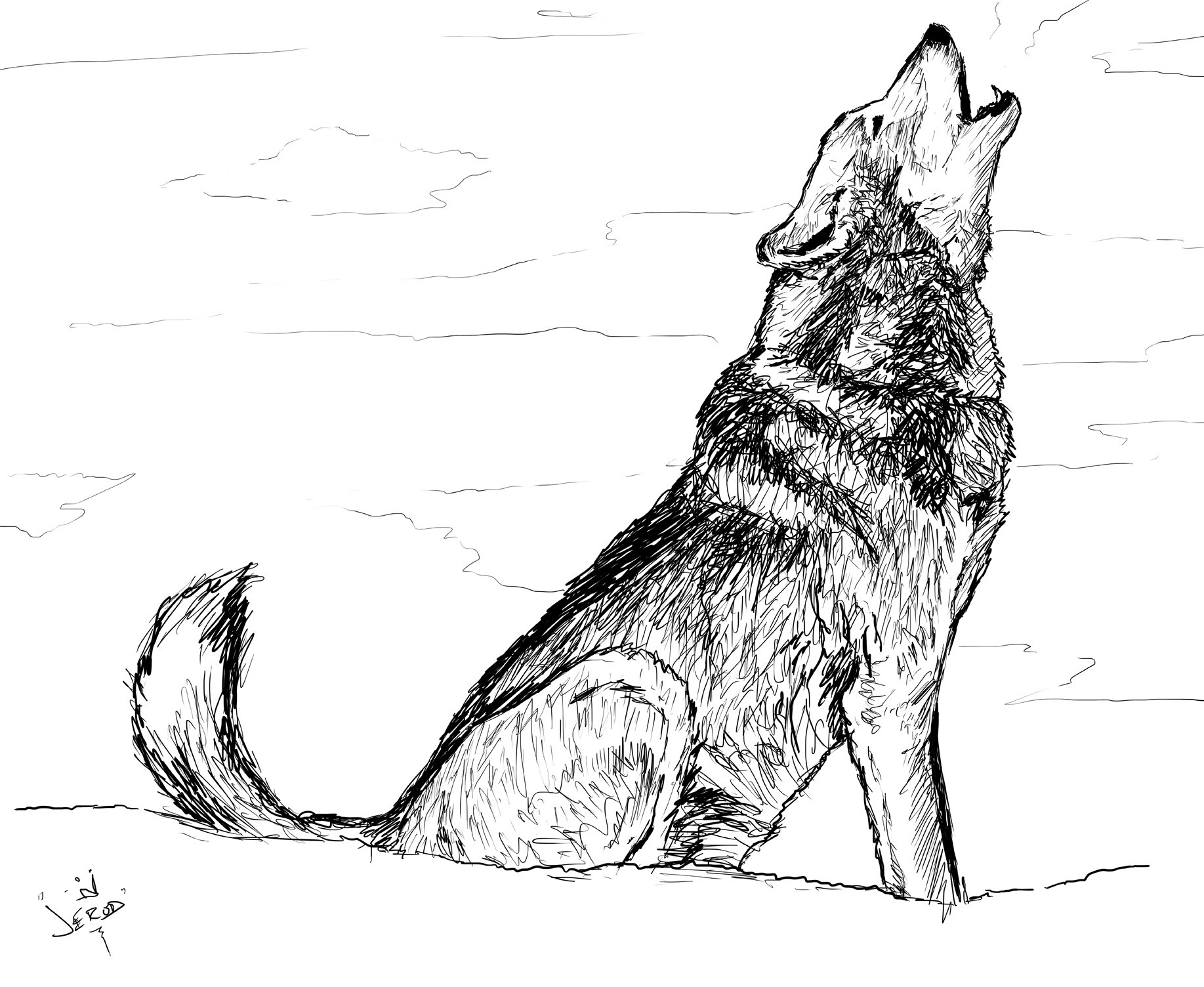 Wolf