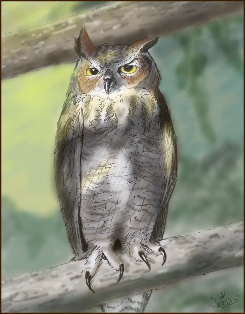 Great Horned Owl