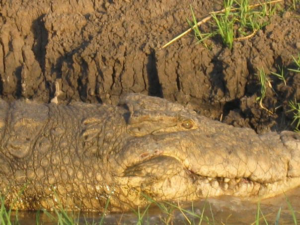 OKAVANGO DELTA, BOTSWANA