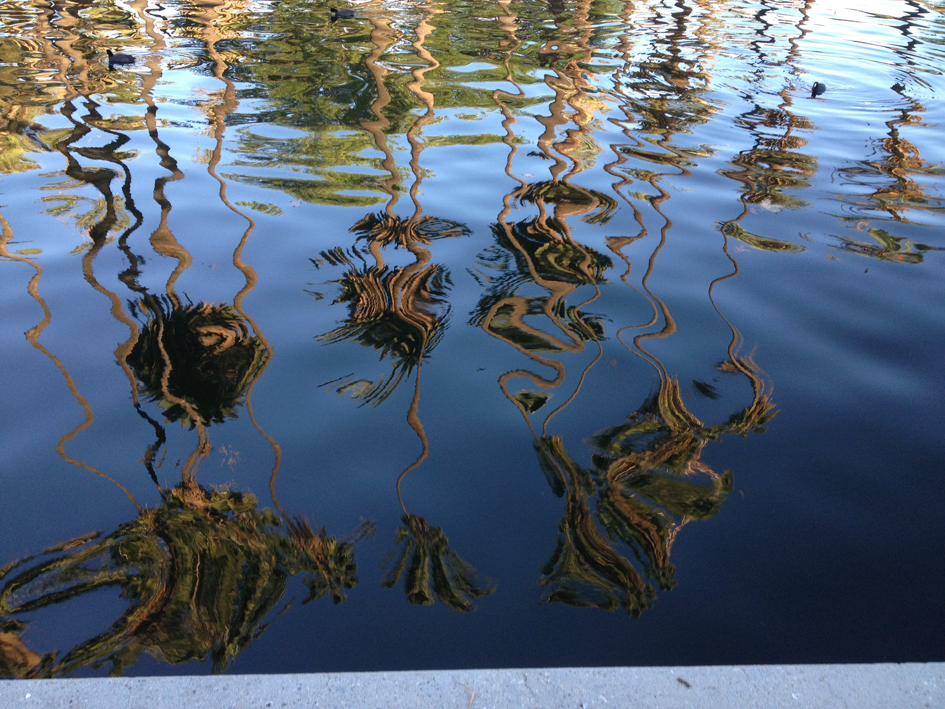 ECHO PARK LAKE, LA, CA