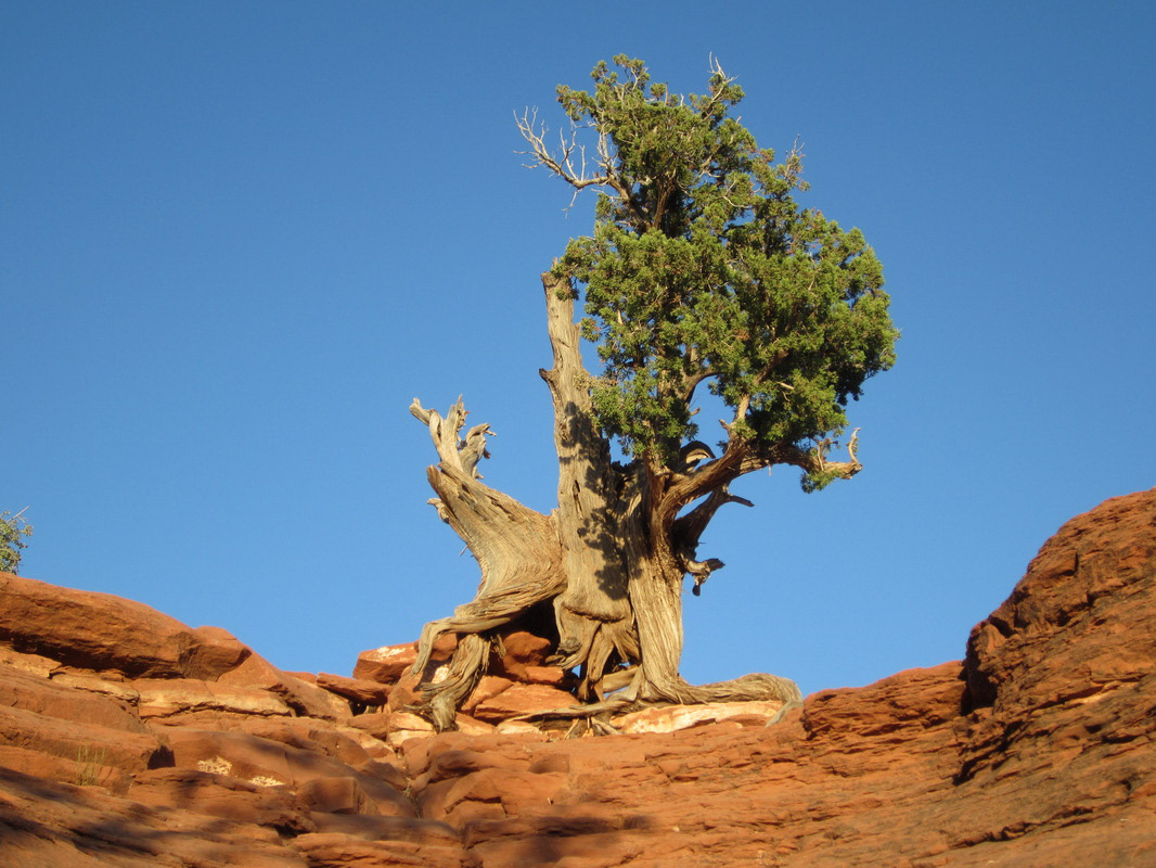 SEDONA, ARIZONA