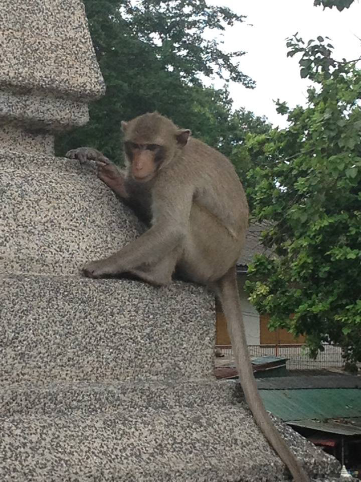 LOPBURI, THAILAND