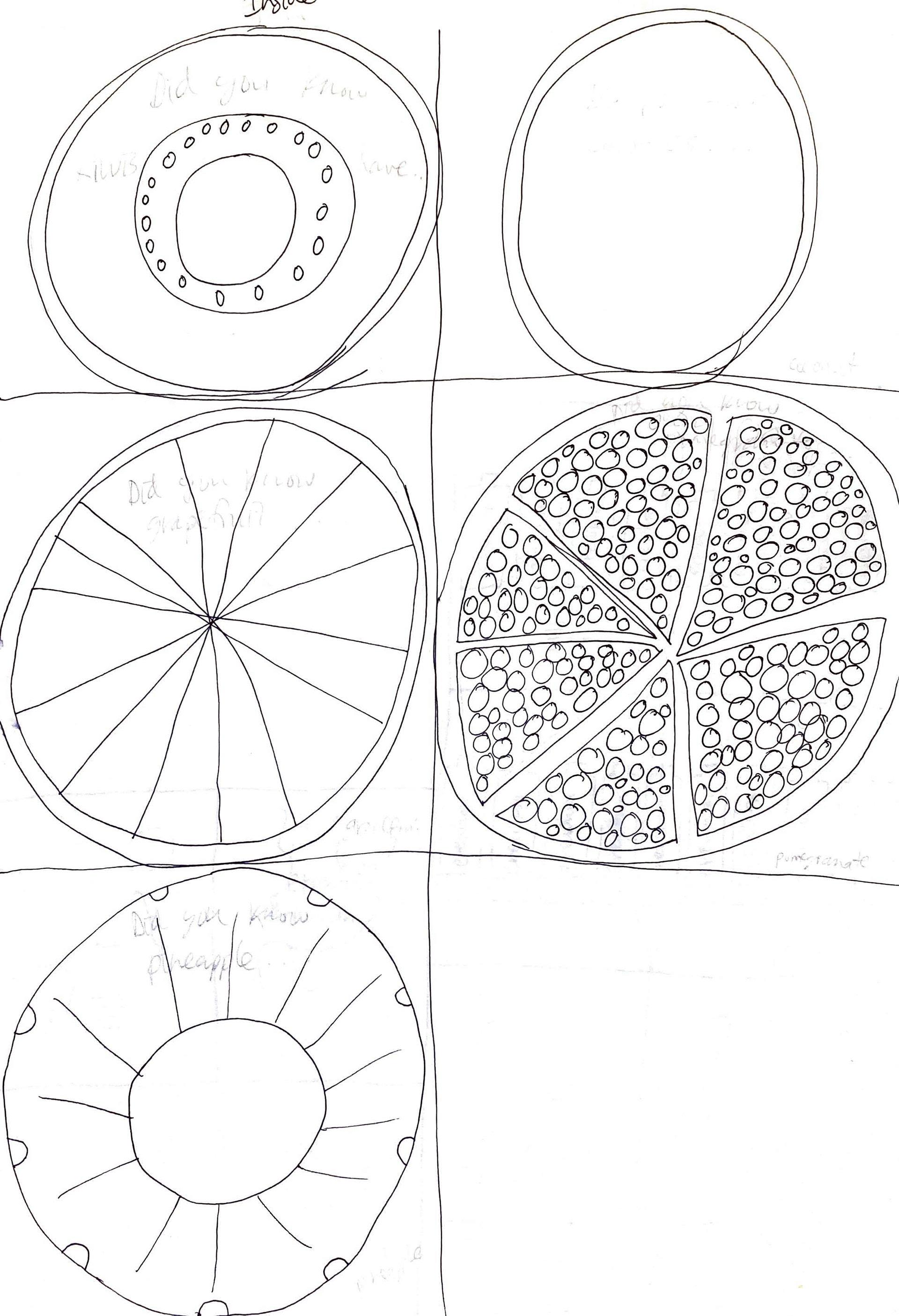SKETCHES