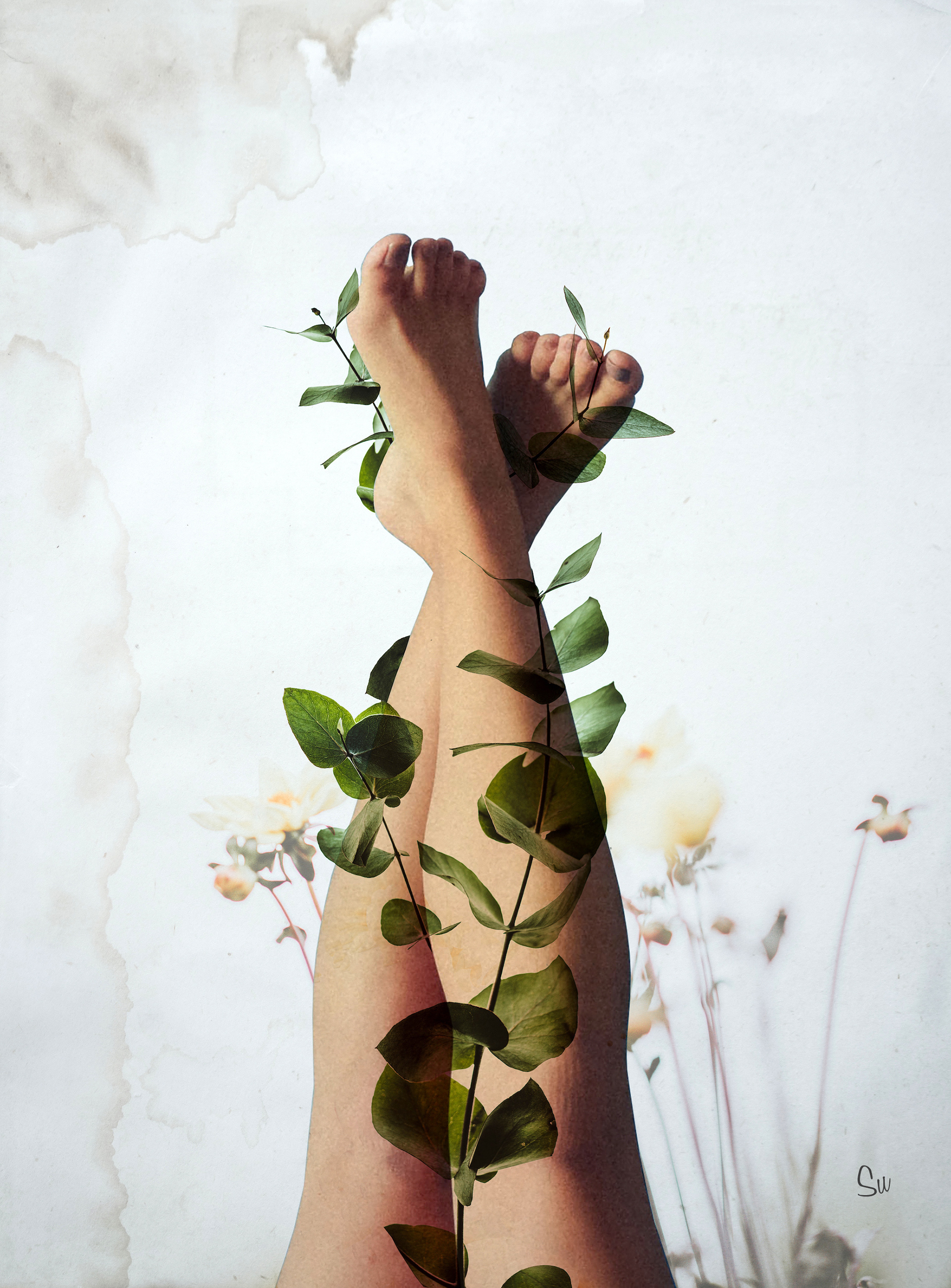 Growth