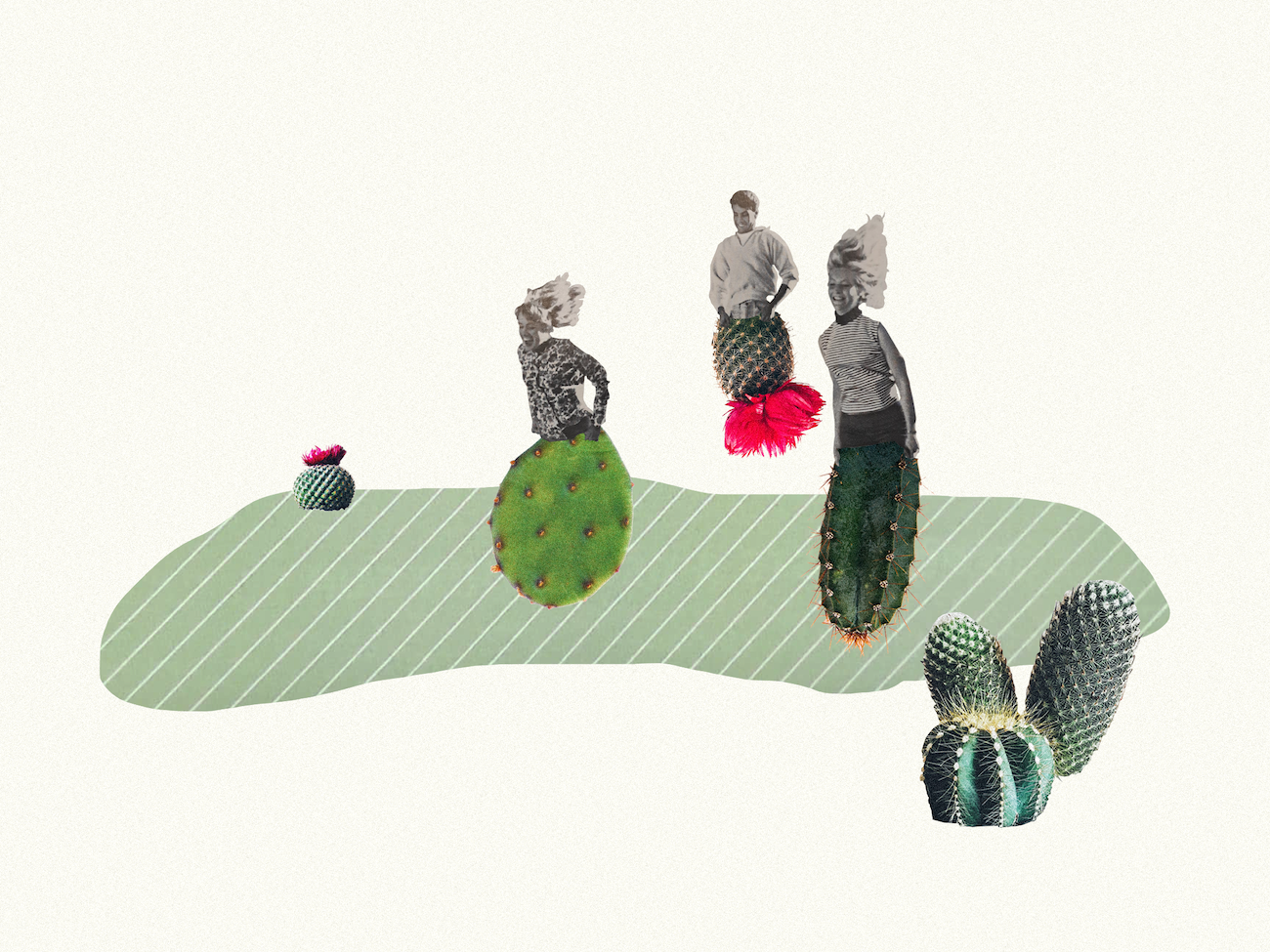 Cactus Race (Cactus - Februllage)