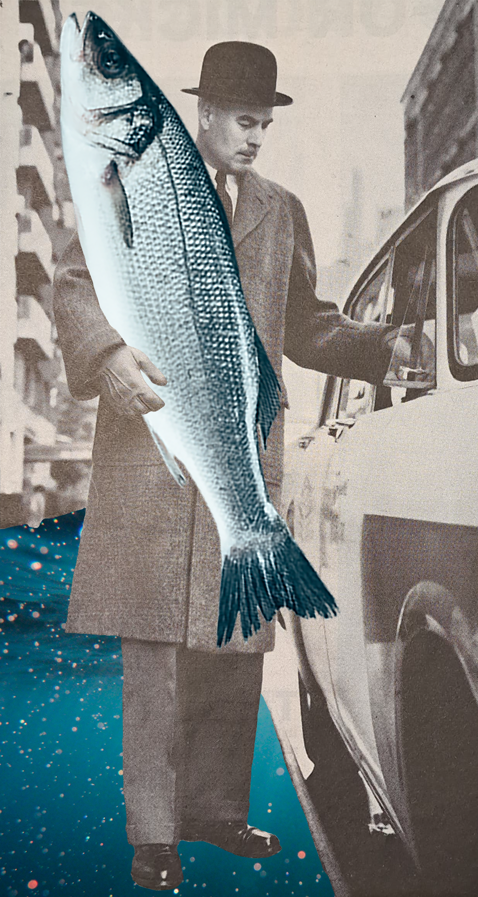 Fish (Februllage)
