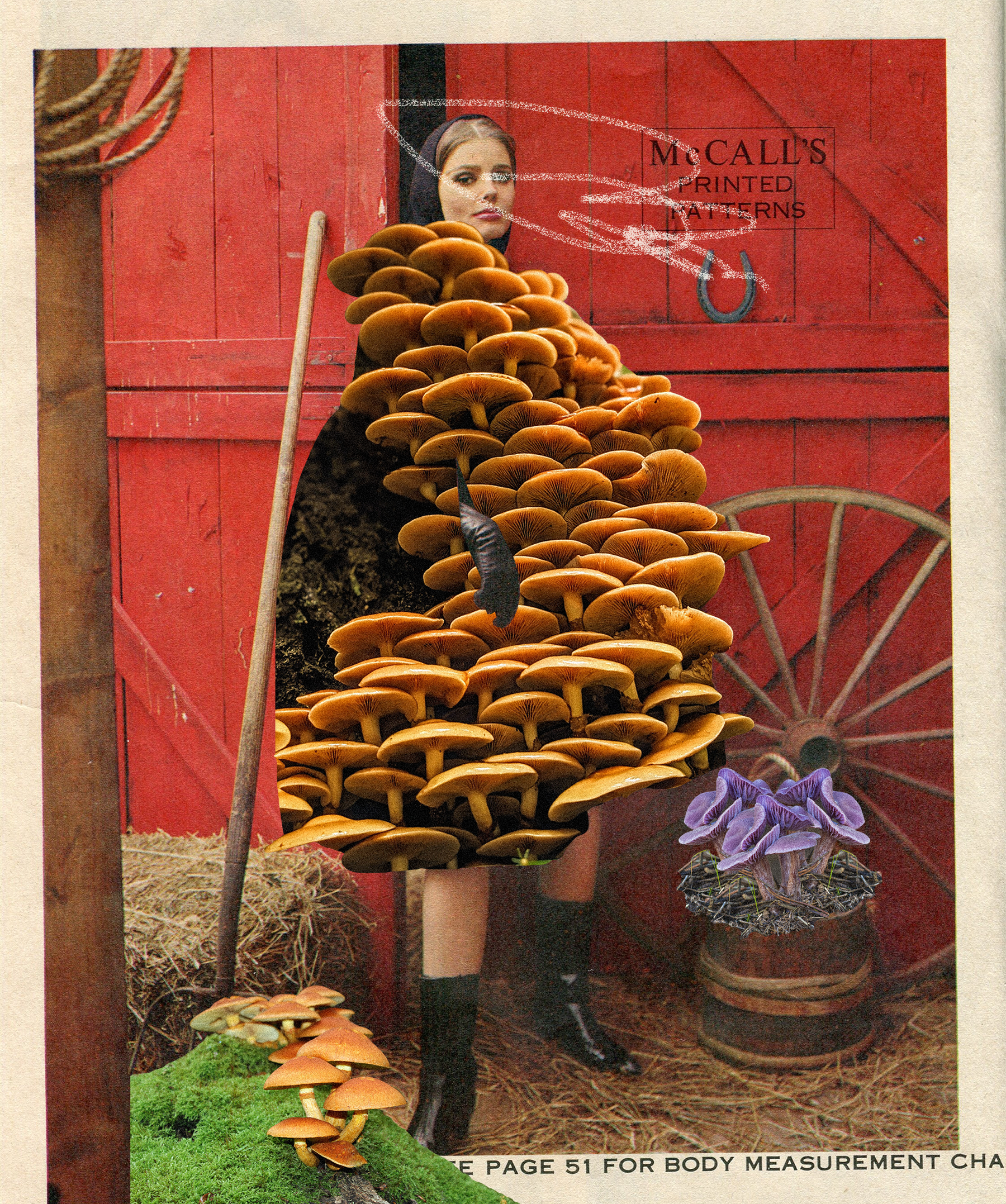 Fungi Fashion (Mushroom - Februllage)