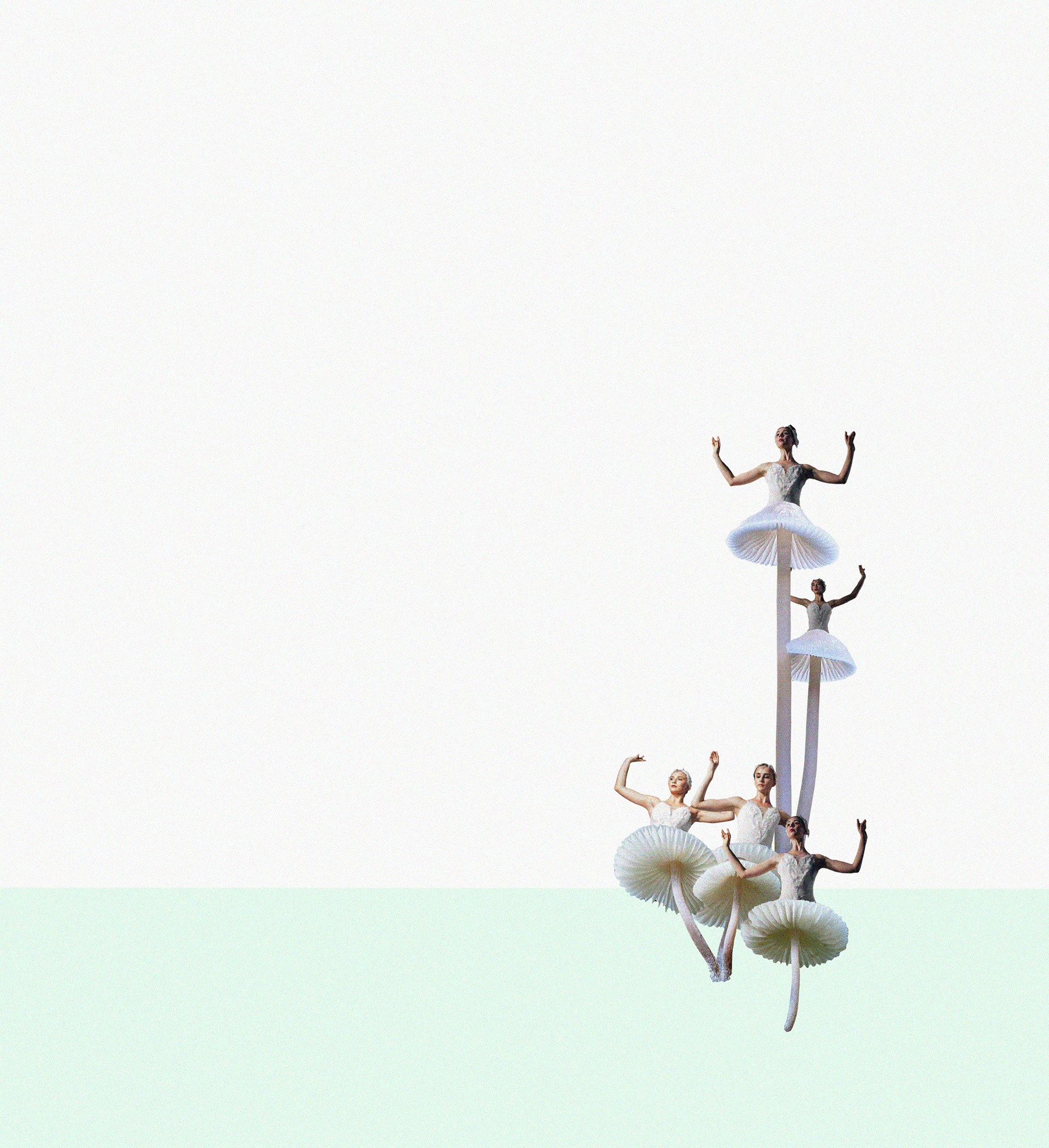 Ballet Blanc