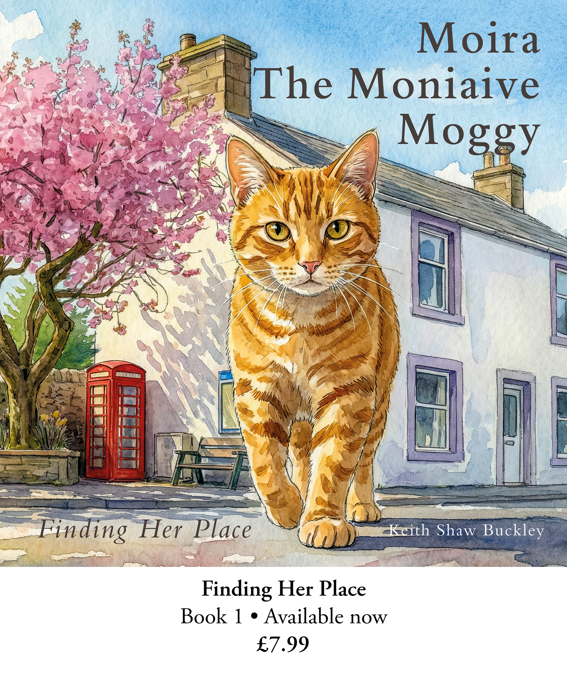 Finding Her Place Book 1 • Available now £7.99