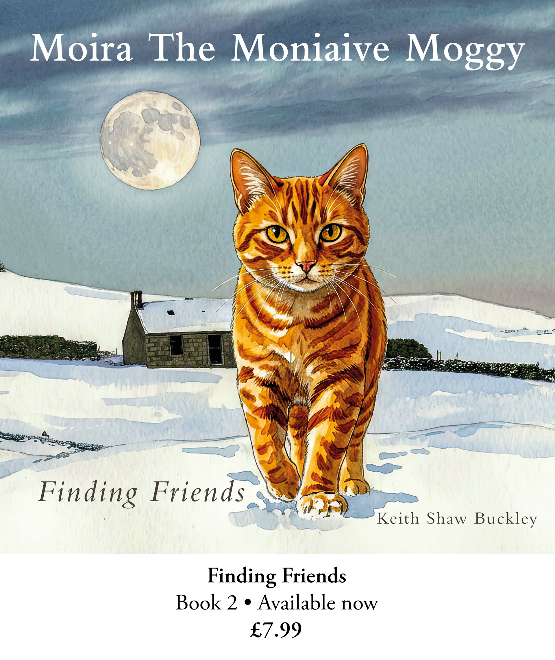 Finding Friends 2 • Available now £7.99