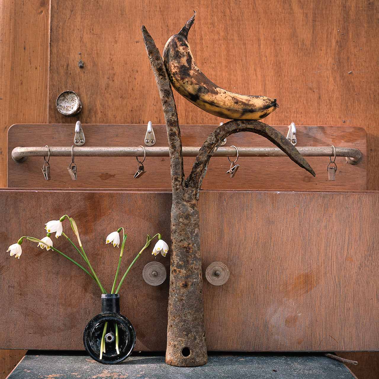Bananenhirsch