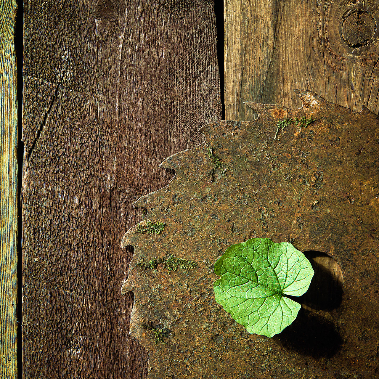 greenwashing