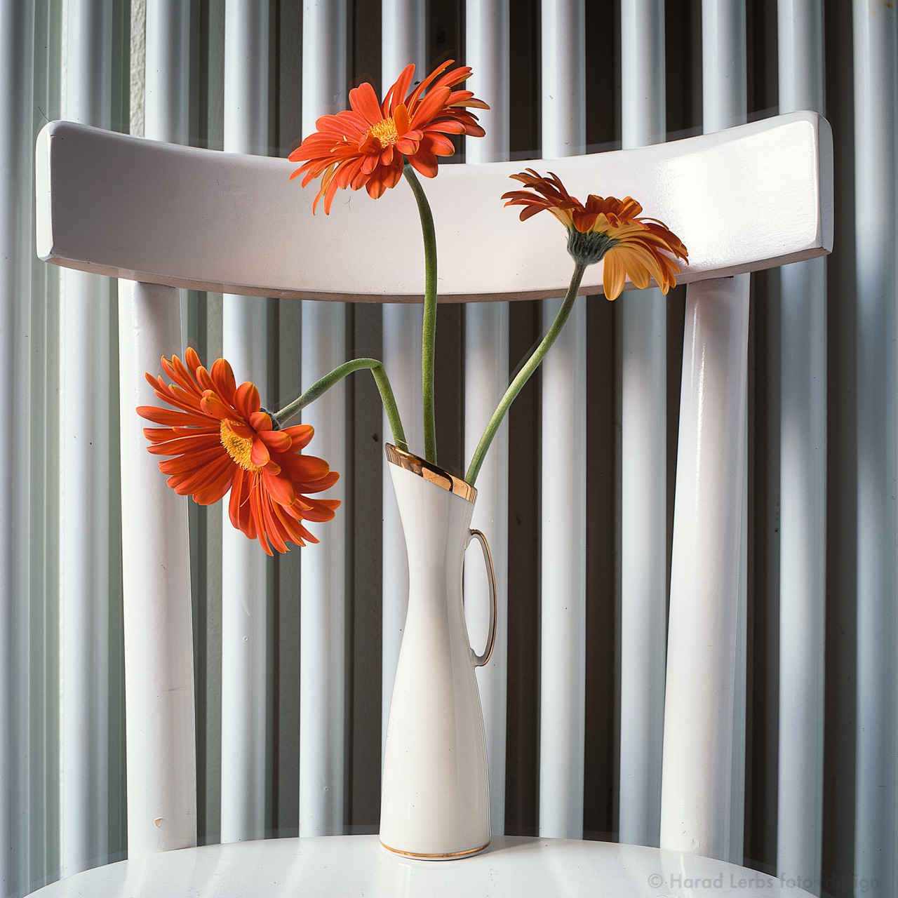 still life - heating flowers