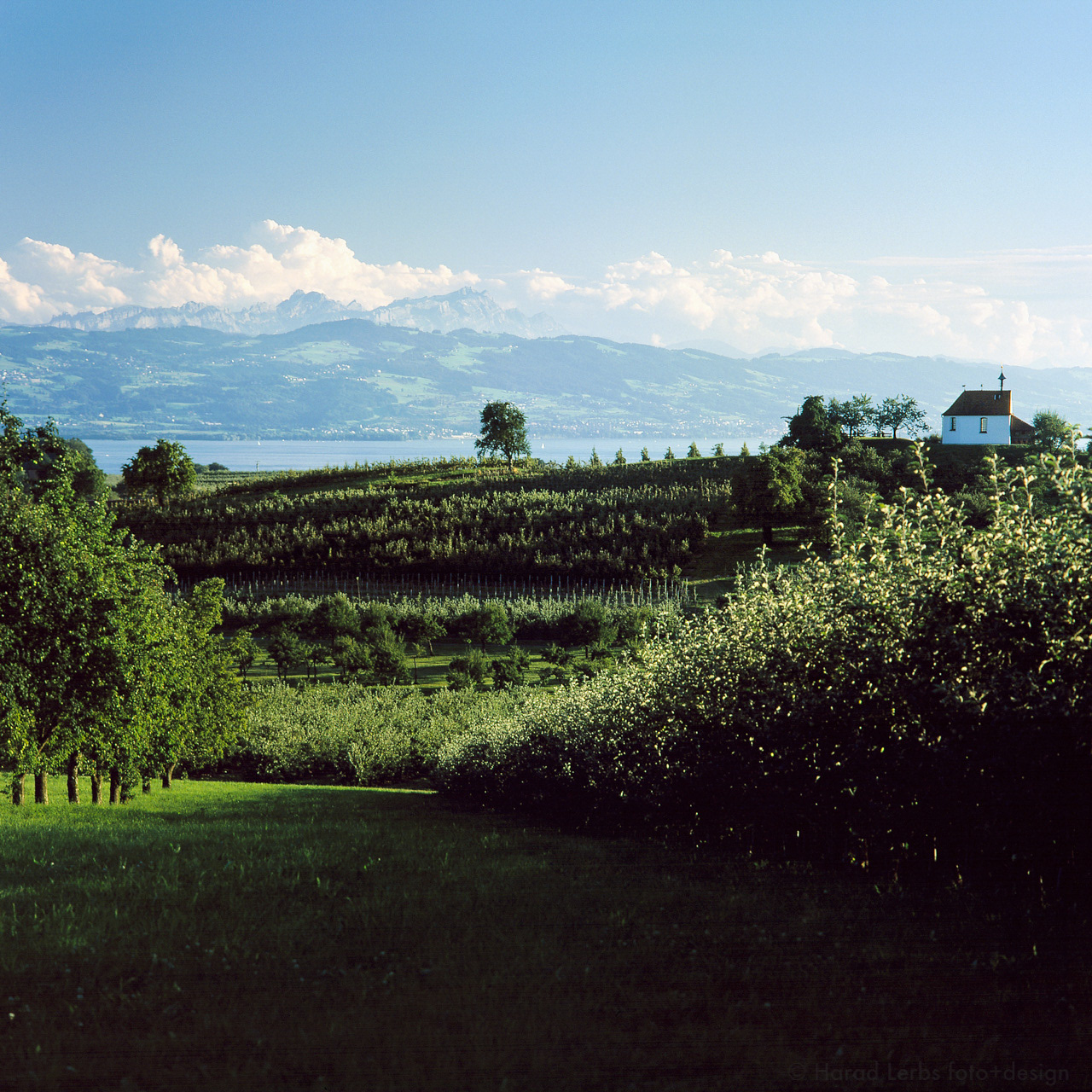 Bodensee Ansicht