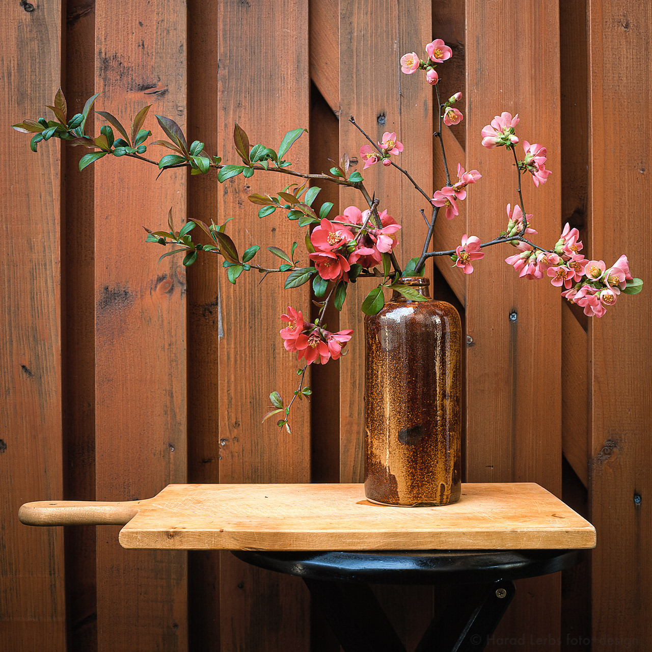 still life - blossom in a bottle