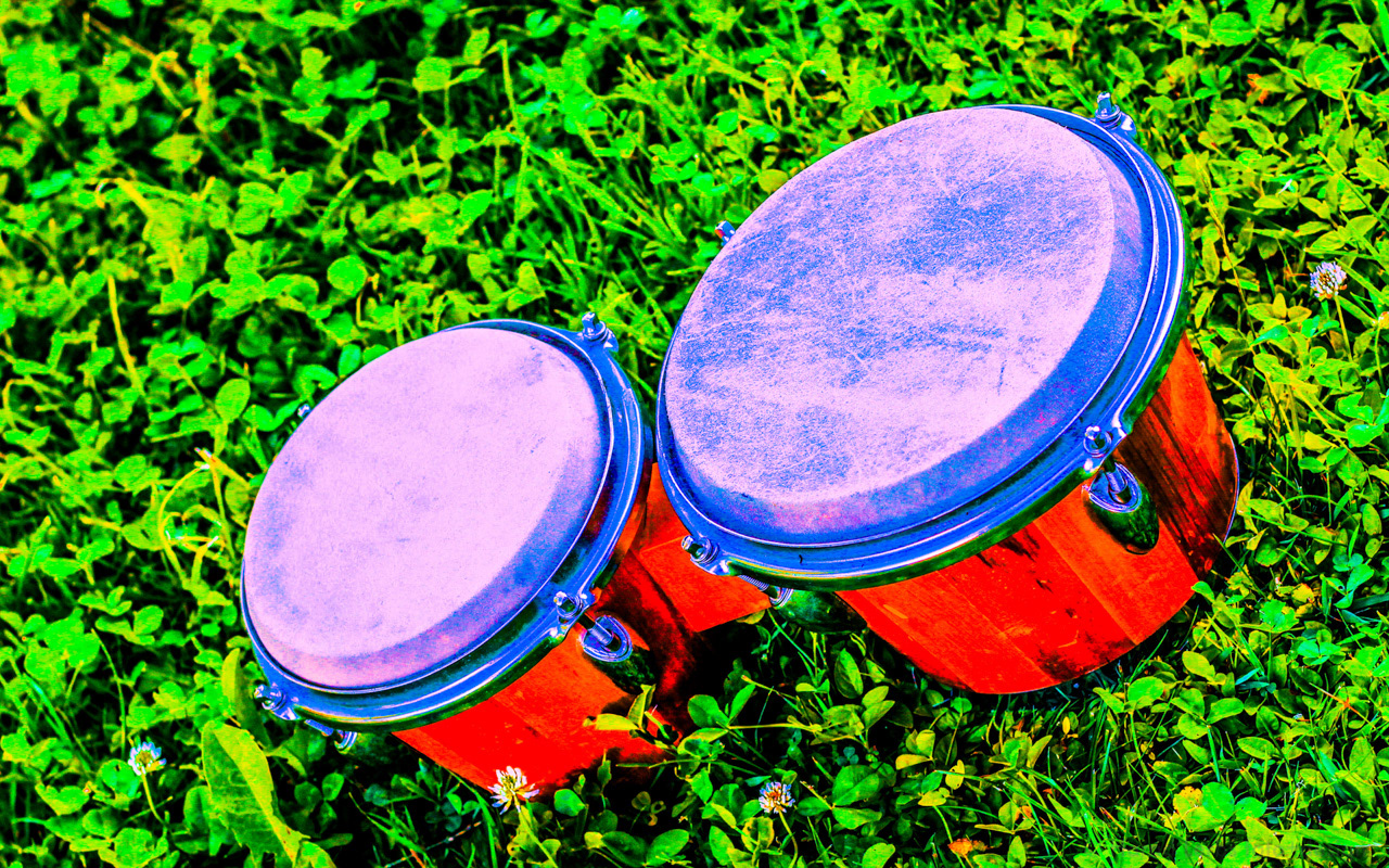 bongo drums plattencover