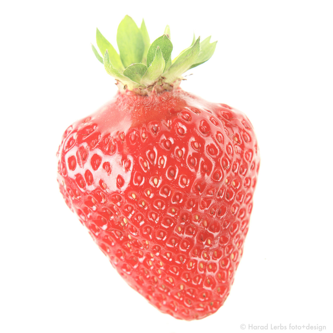 Erdbeere