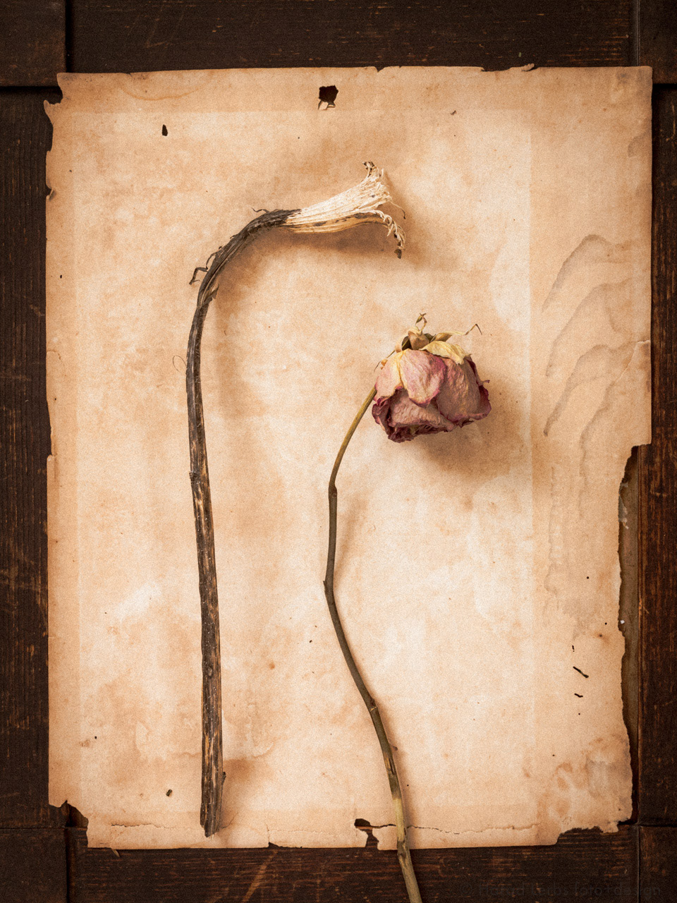 Stillleben mit Blüten