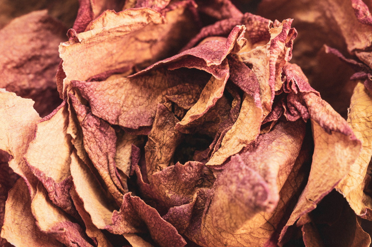 Rose alt
