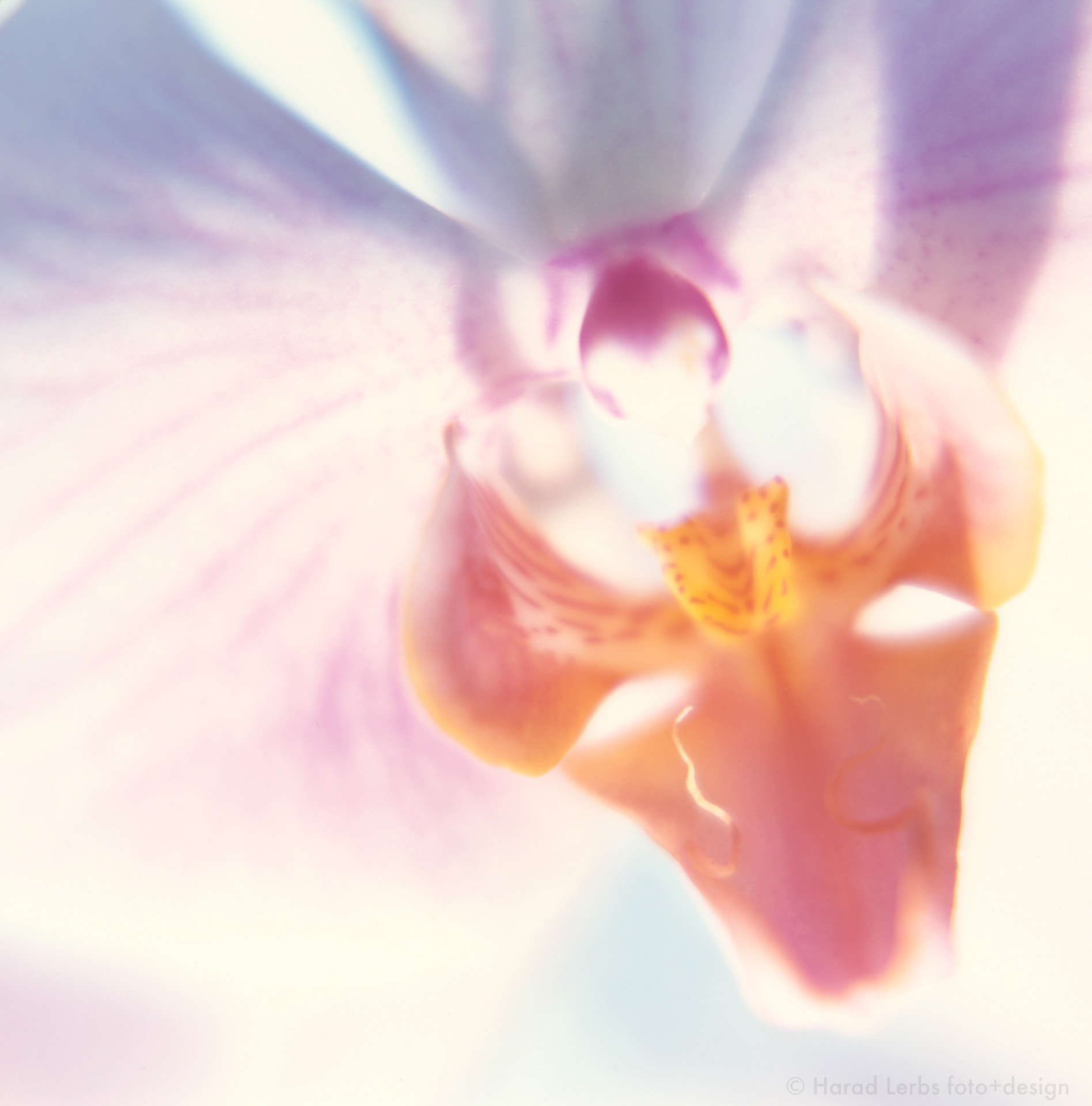 Harald Lerbs, foto, video, sound, design, Lindau, Bodensee