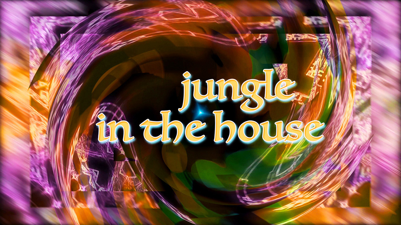 dirty DJ feat. Harald Lerbs - jungle in the house (electronic drum and bass music video)