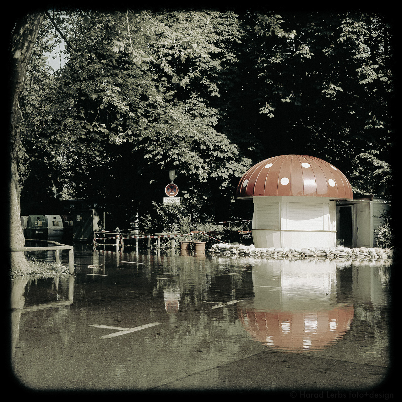 Pilz, Lindau, Bodensee