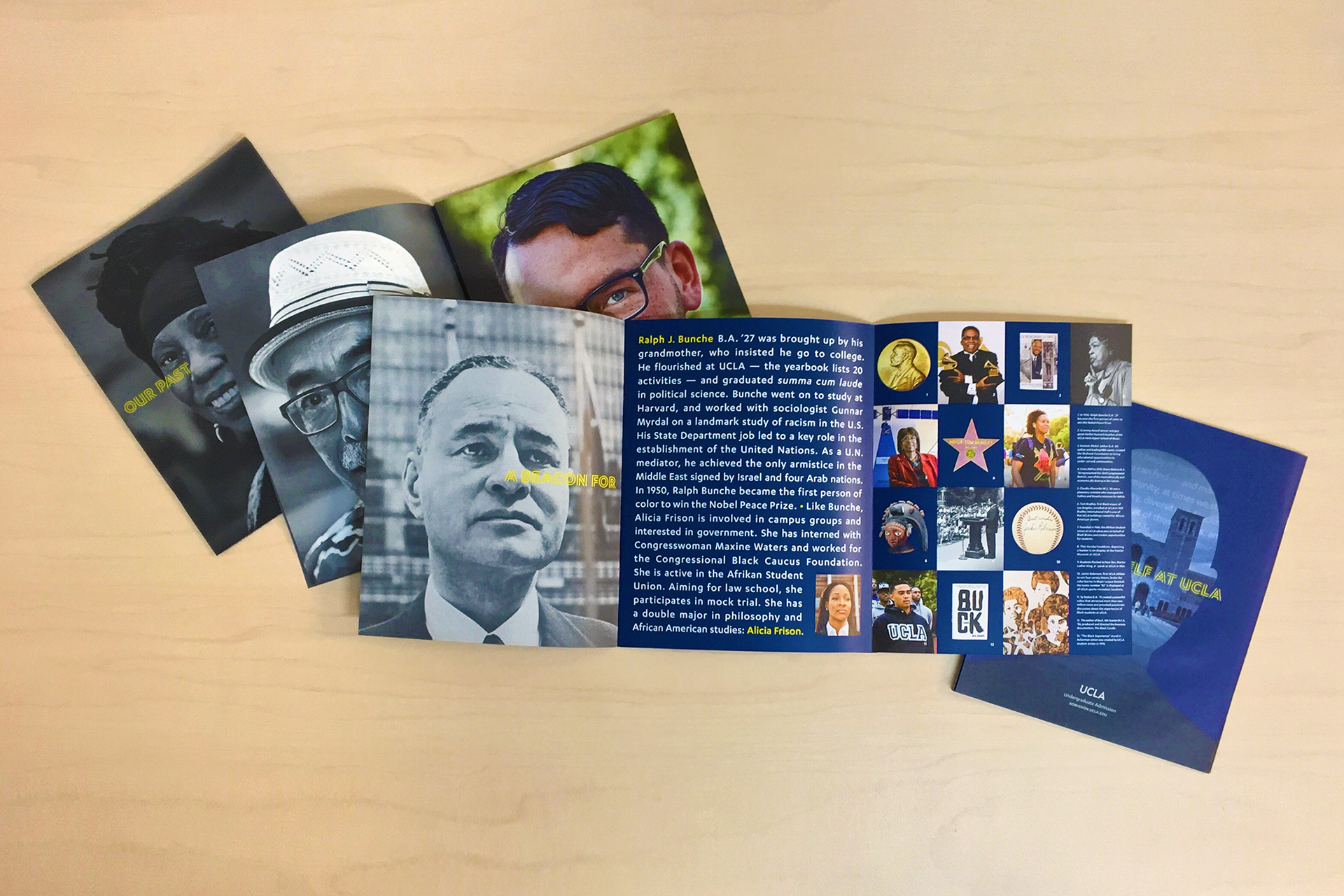 https://fiatlux.agency/ucla-diversity-brochure
