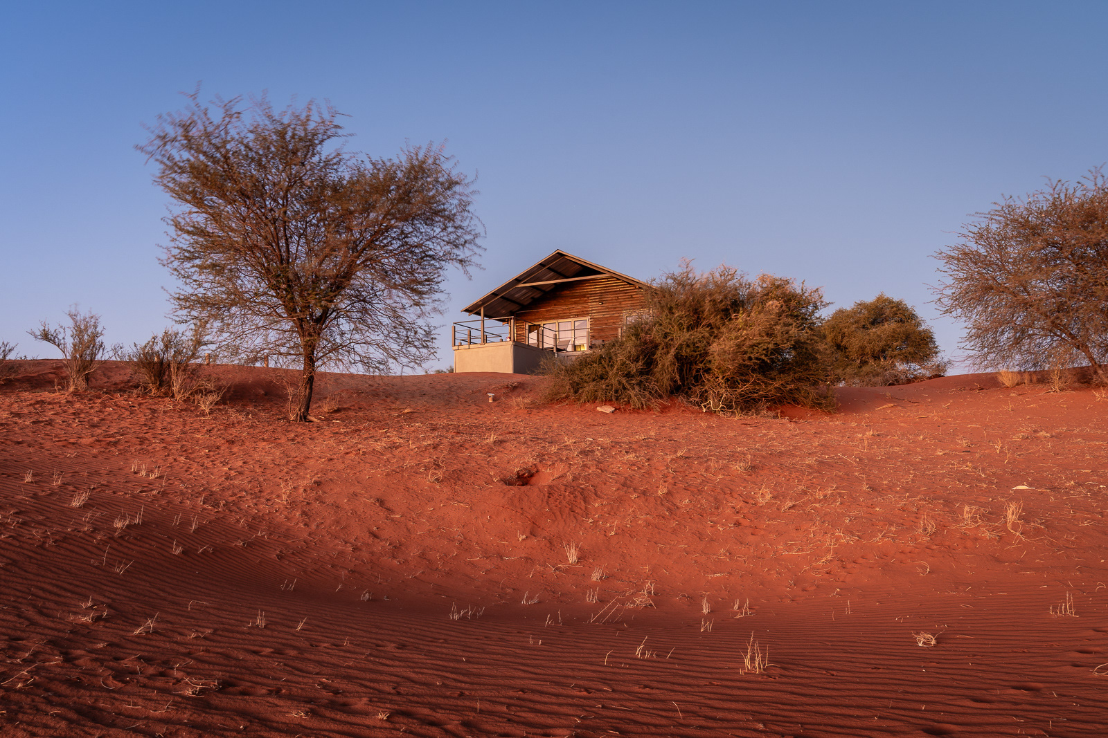 Bagatelle Kalahari Game Ranch