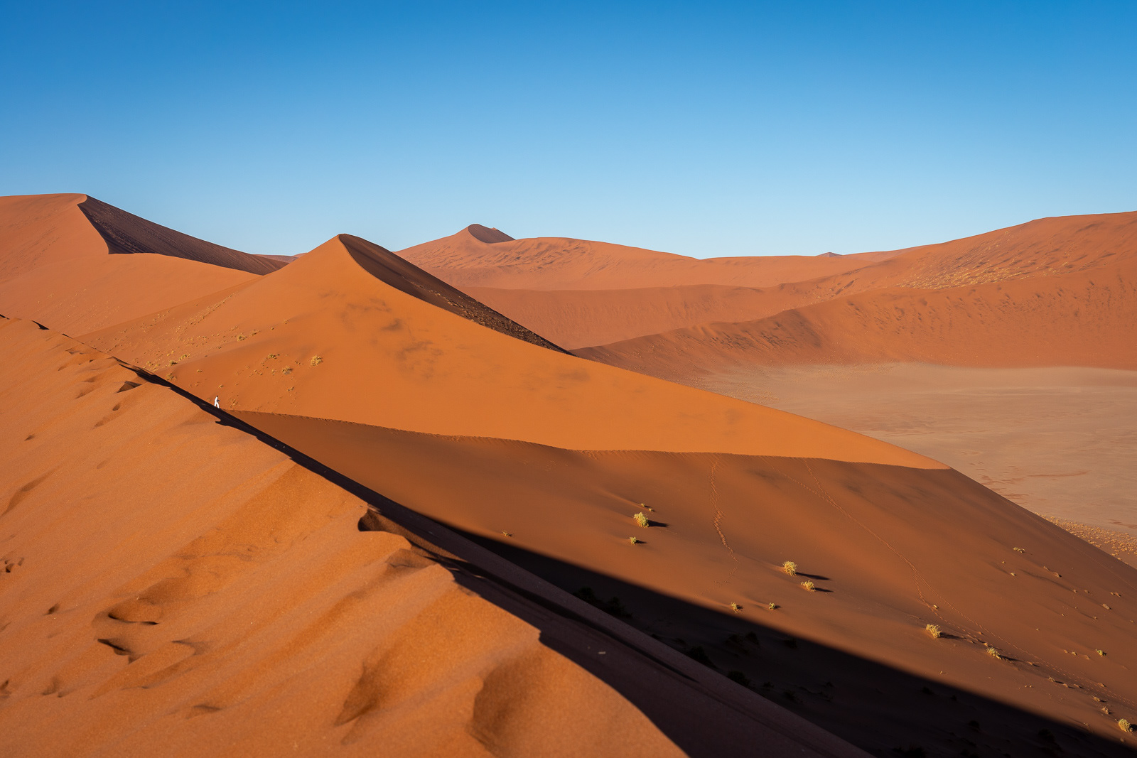 Düne 45 im Sossusvlei