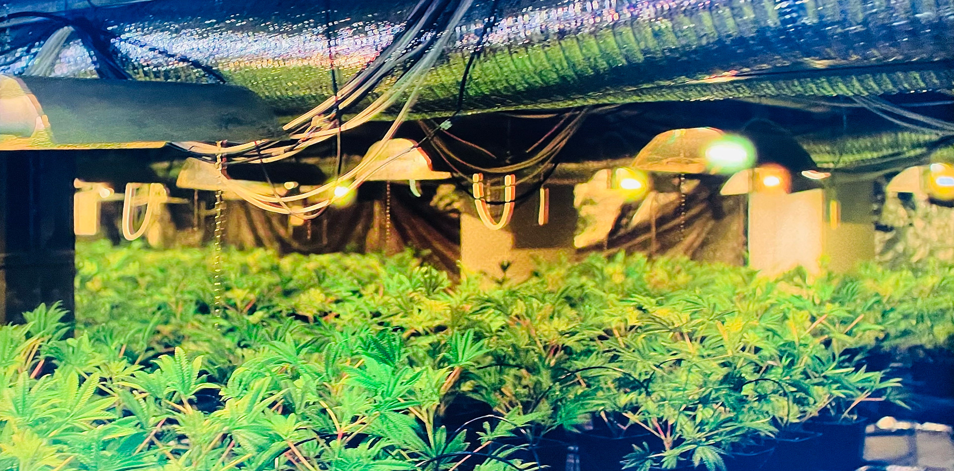 Amsterdam Empire © Netflix