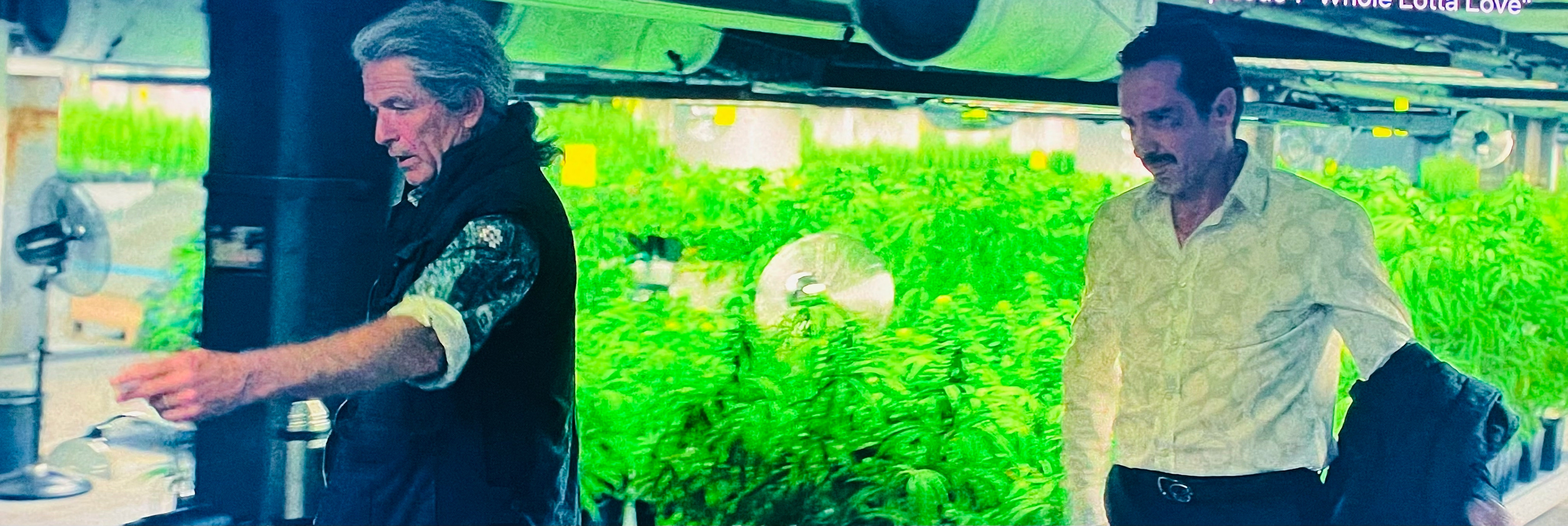 Amsterdam Empire © Netflix