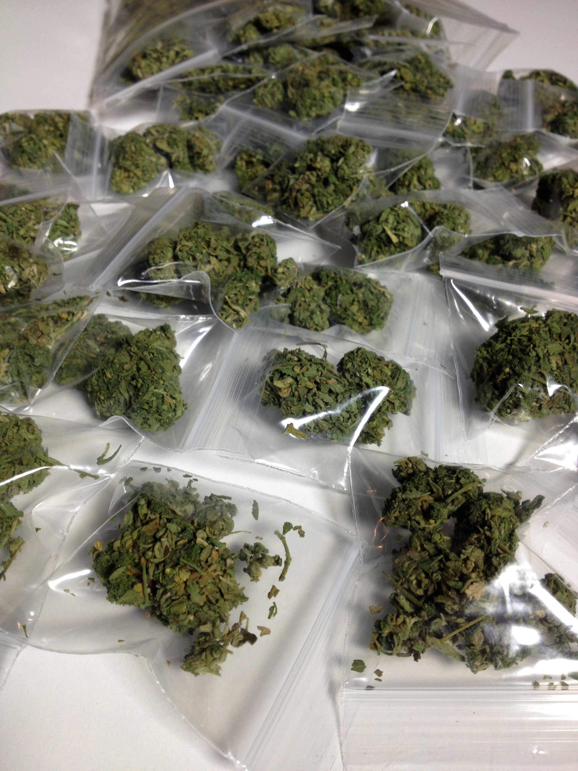 dried buds in bags
