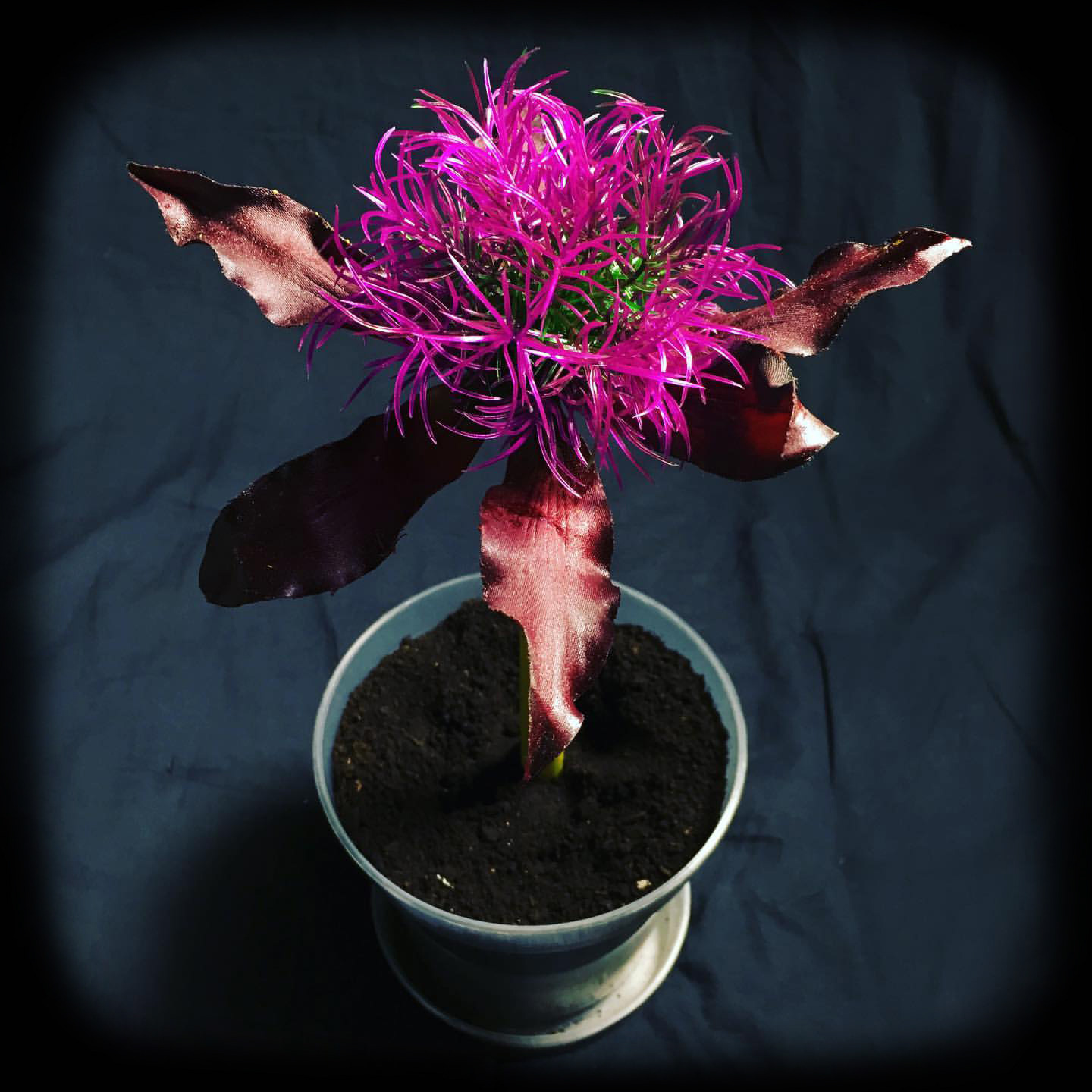 Fantasy Flower Design