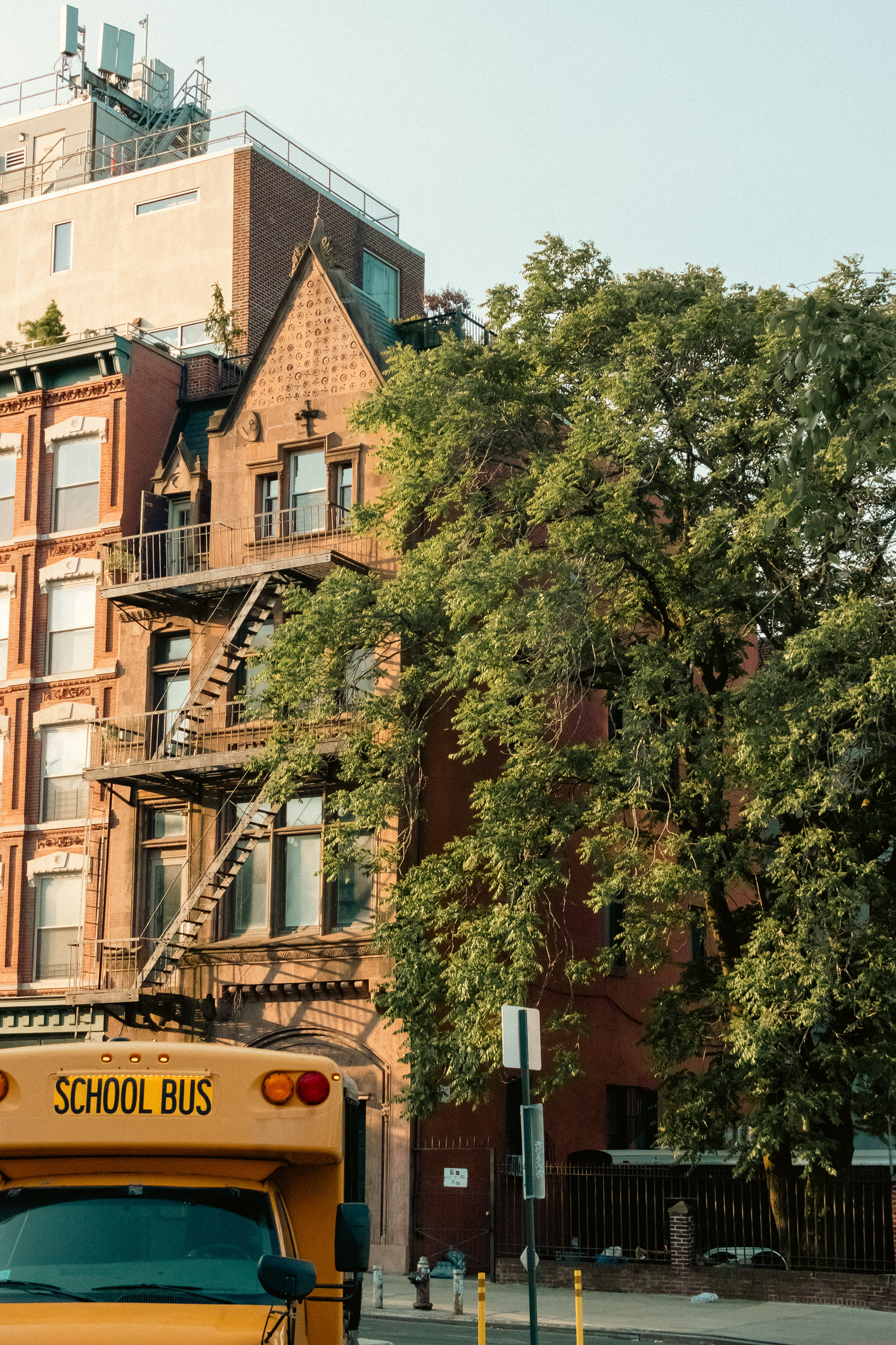 School bus