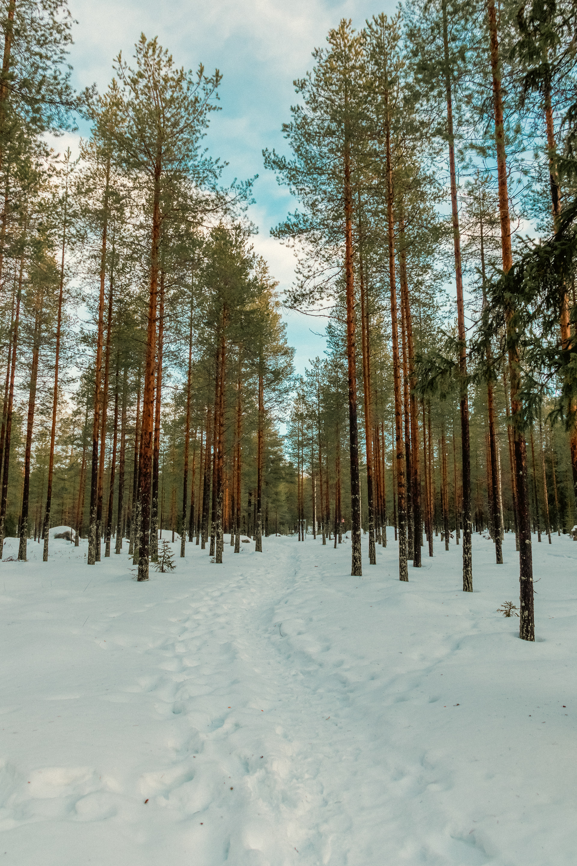 Path
