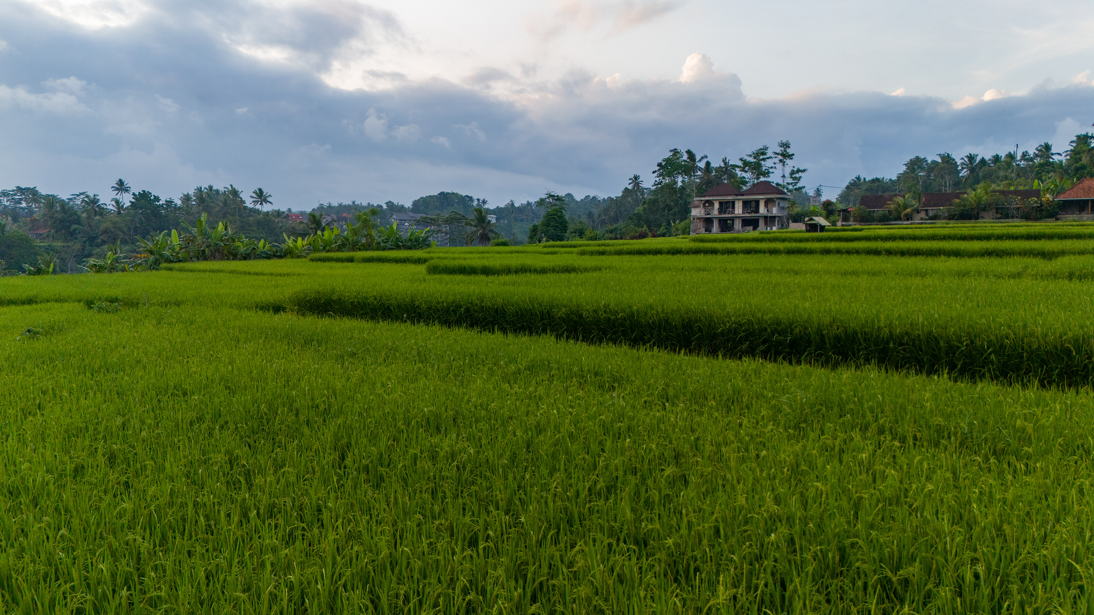 Fields
