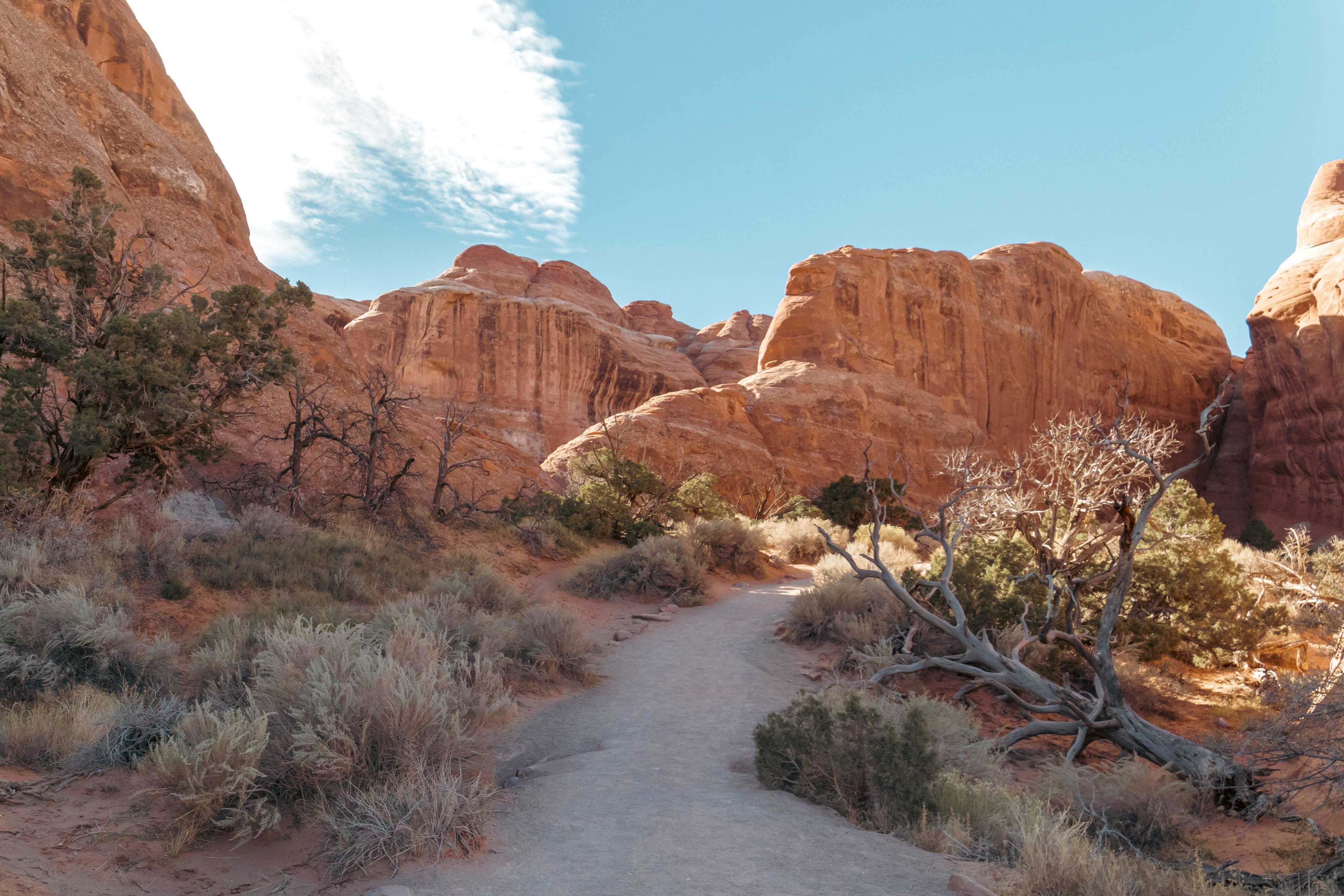 An inviting path