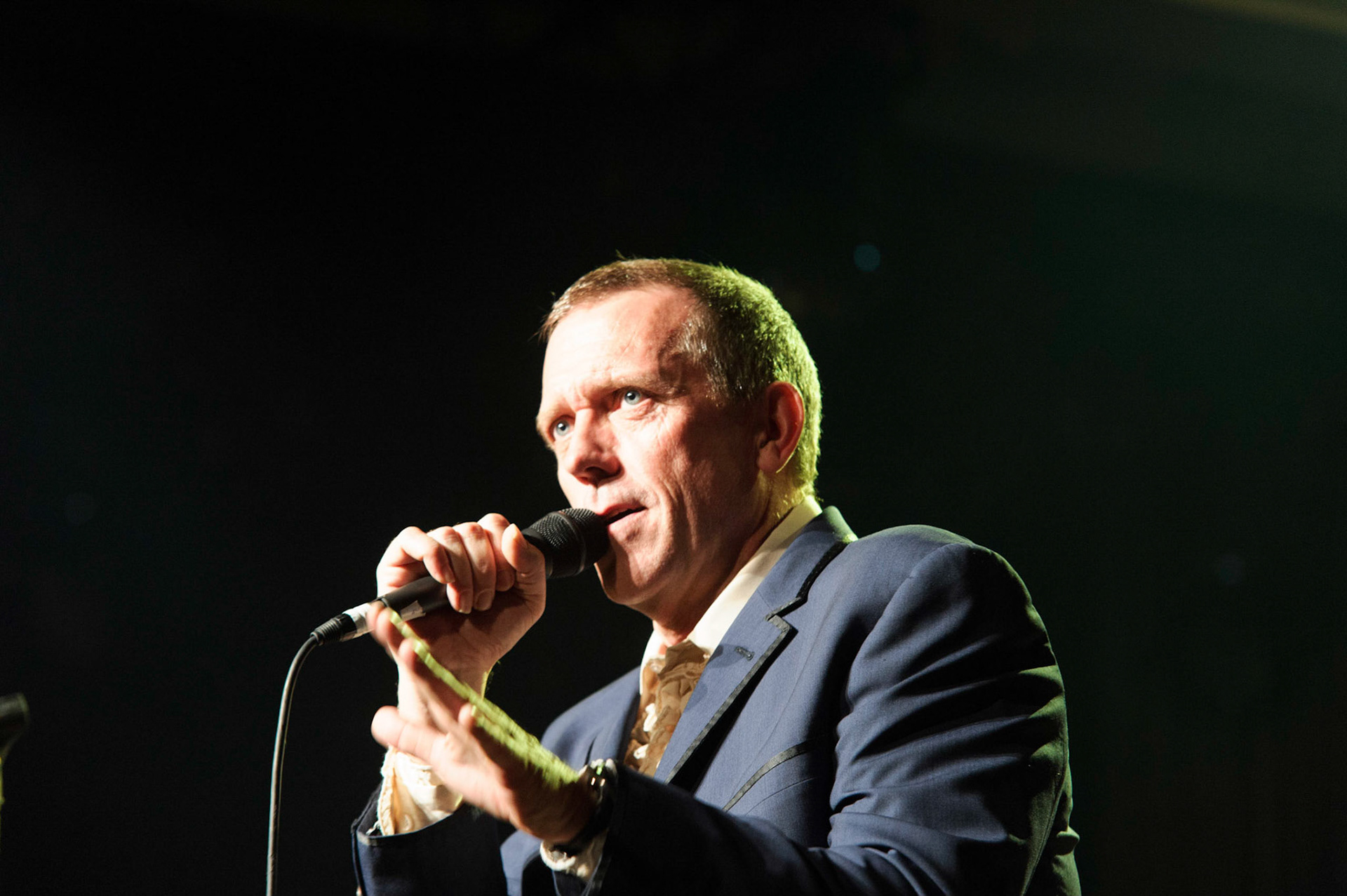 Le talentueux Hugh Laurie